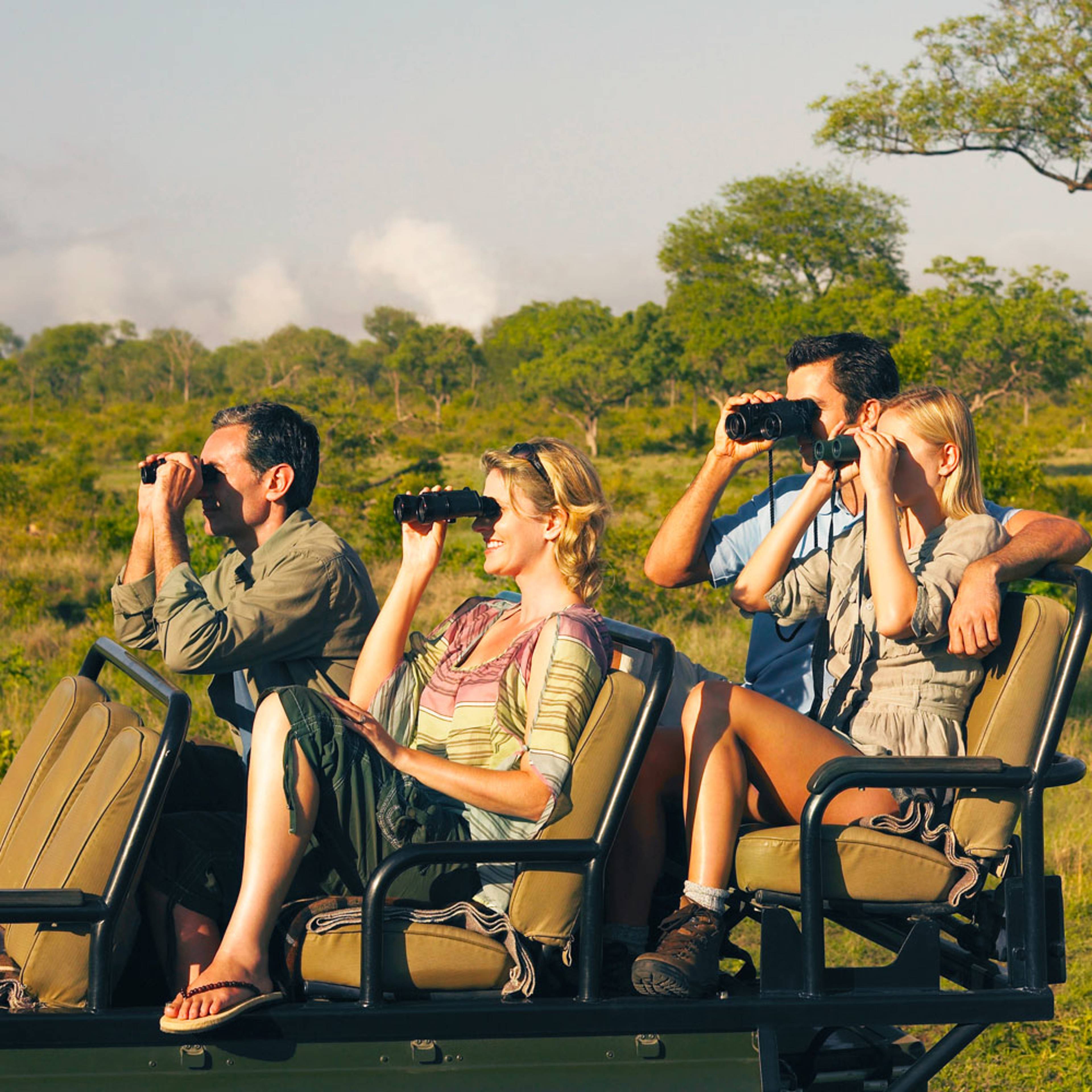 Design your perfect guided tour with a local expert in South Africa