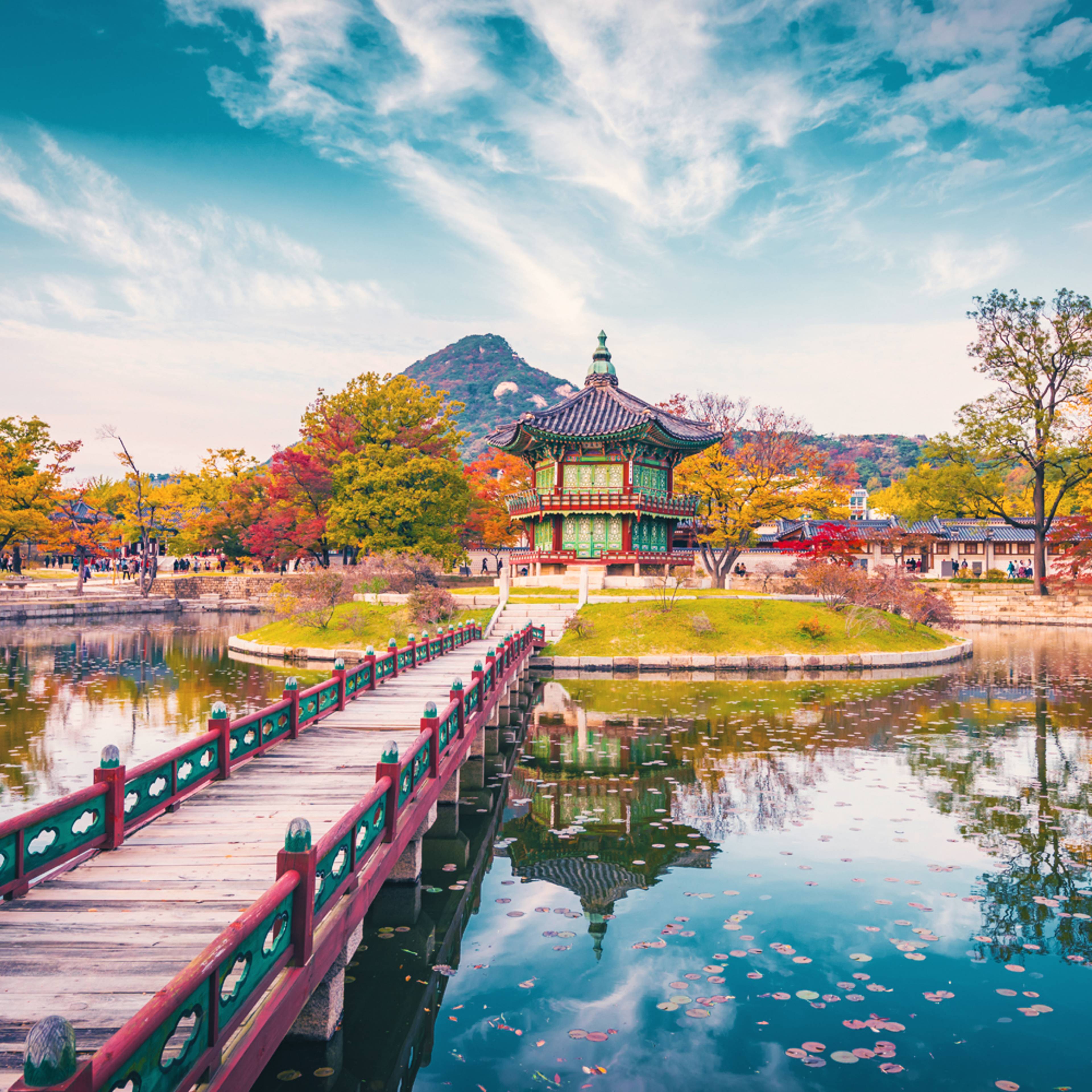 Design your perfect Autumn holiday in South Korea with a local expert