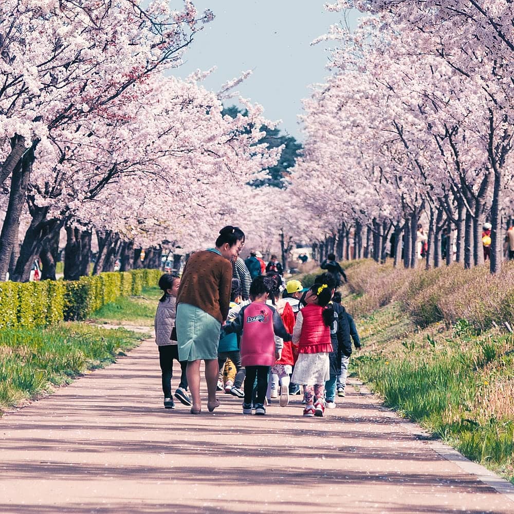 Design your perfect family holiday with a local expert in South Korea