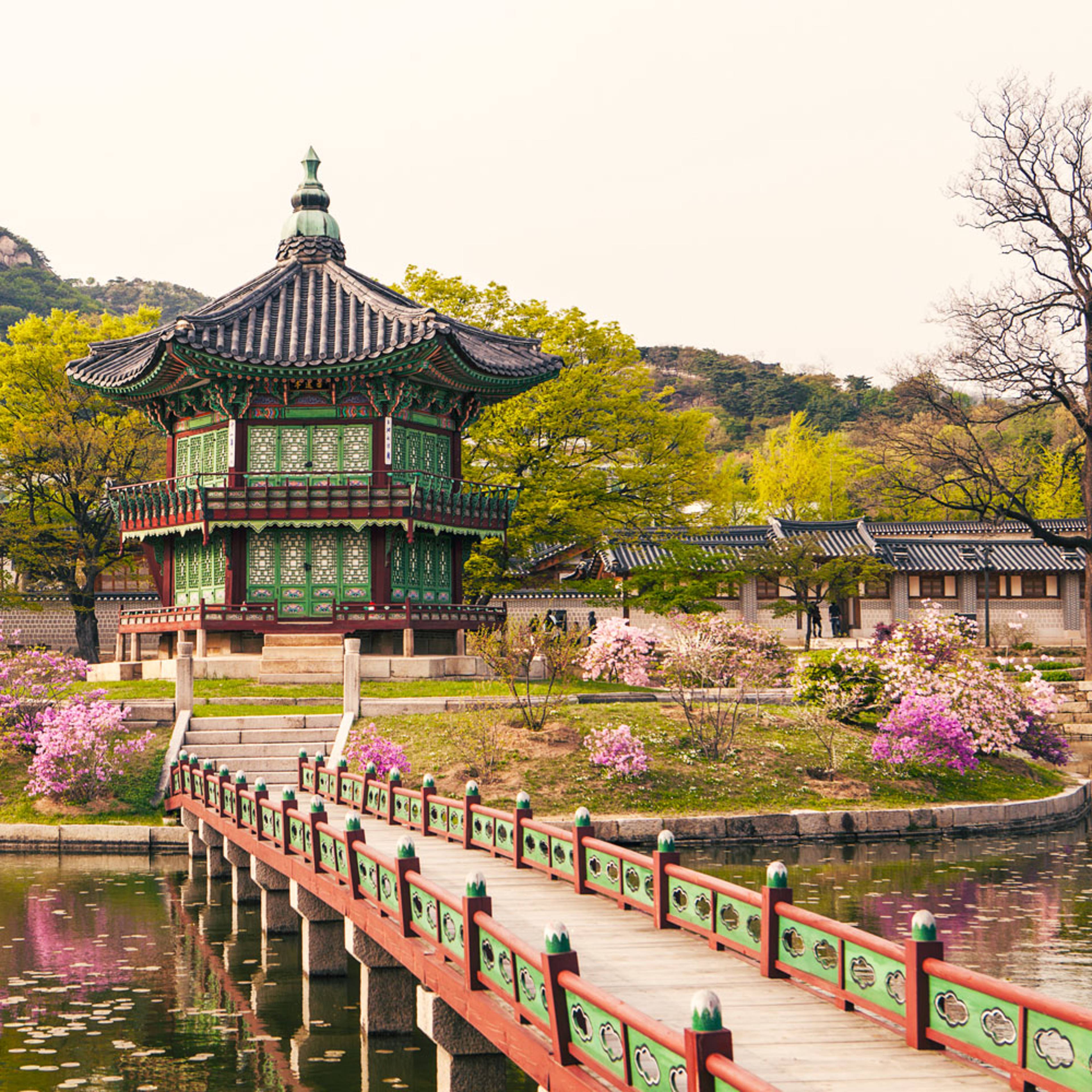 Design your perfect two week tour with a local expert in South Korea