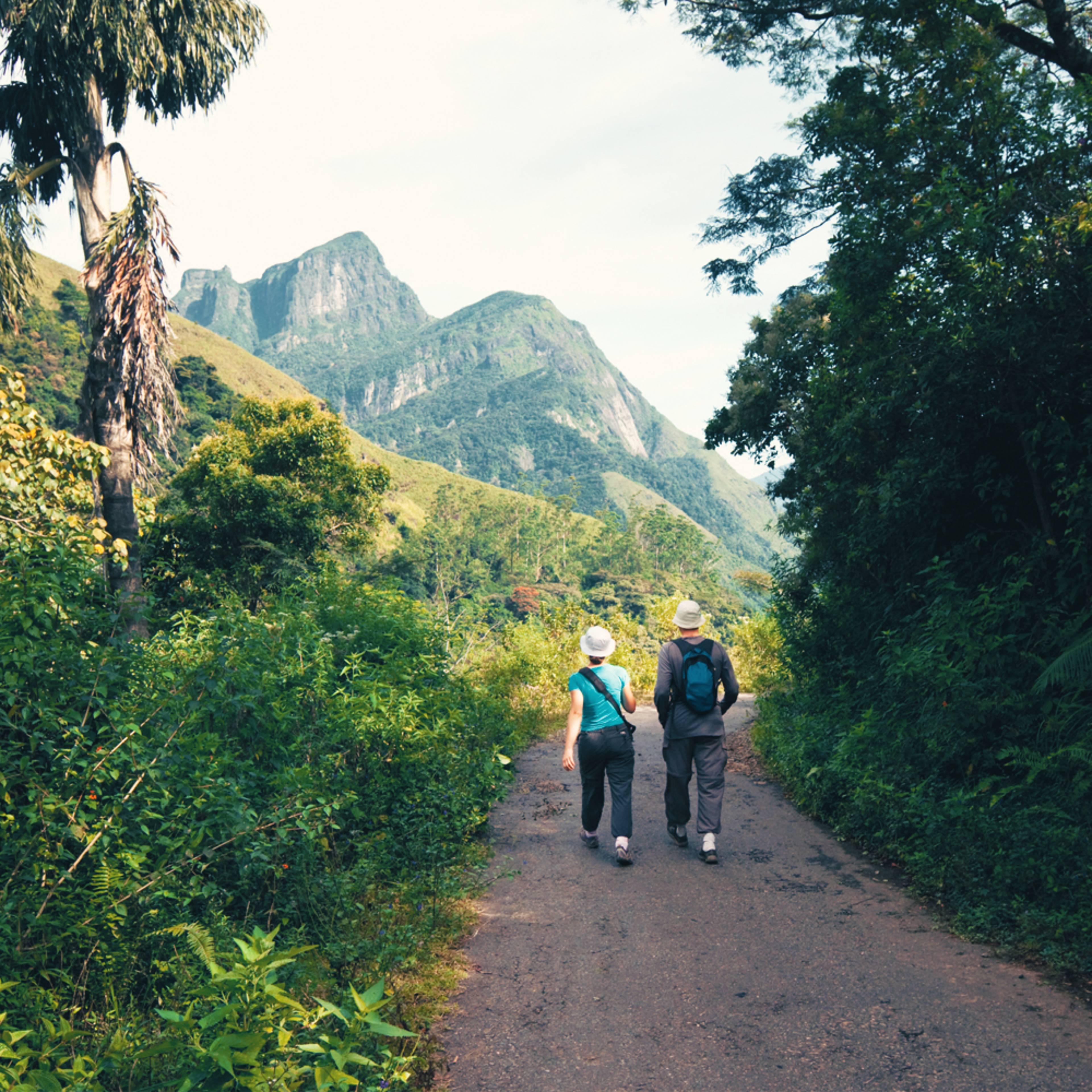 Design your perfect hiking tour with a local expert in Sri Lanka
