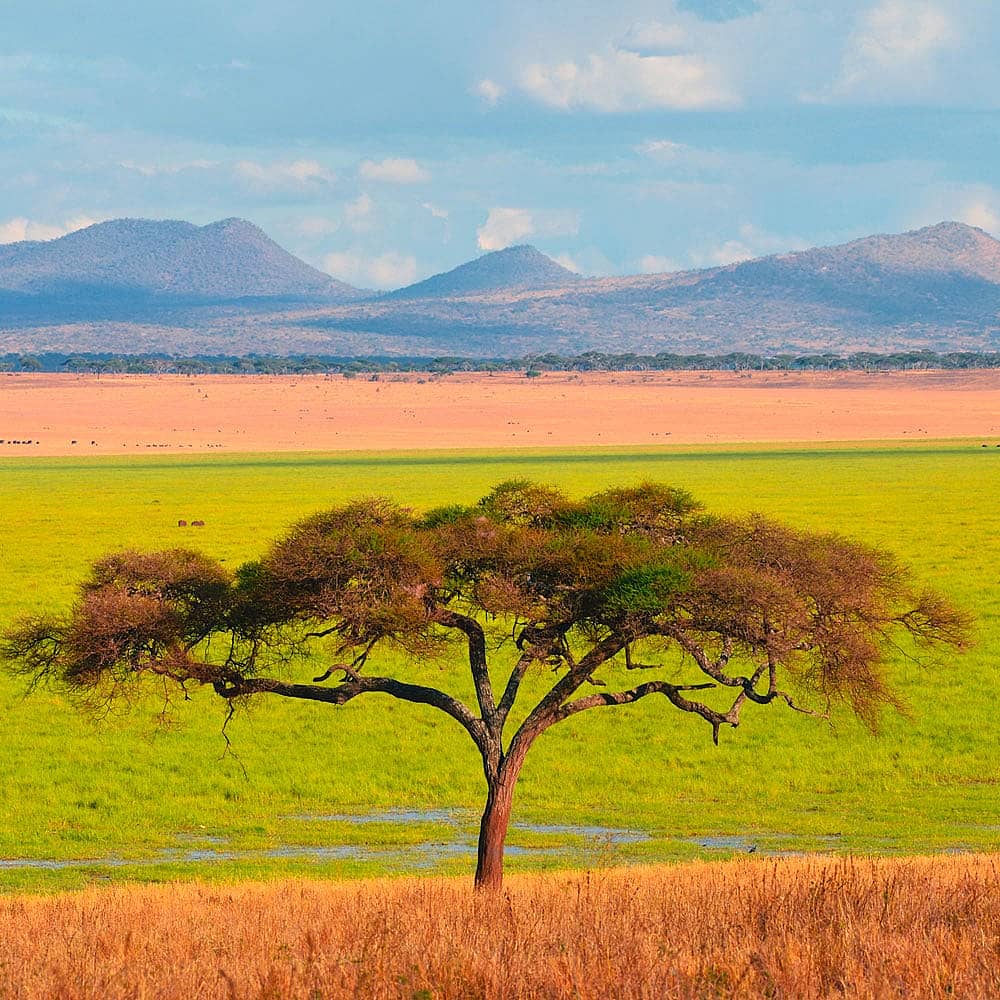 Design your perfect nature holiday with a local expert in Tanzania