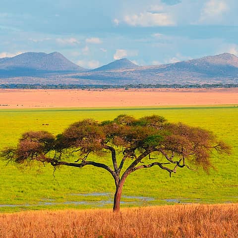 Tanzania Tourism: travel guide | Evaneos