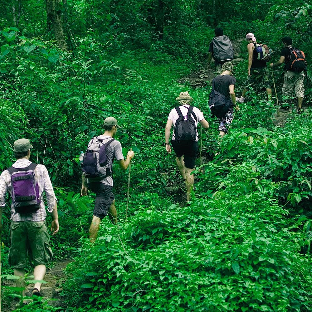 Design your perfect rainforest tour with a local expert in Thailand