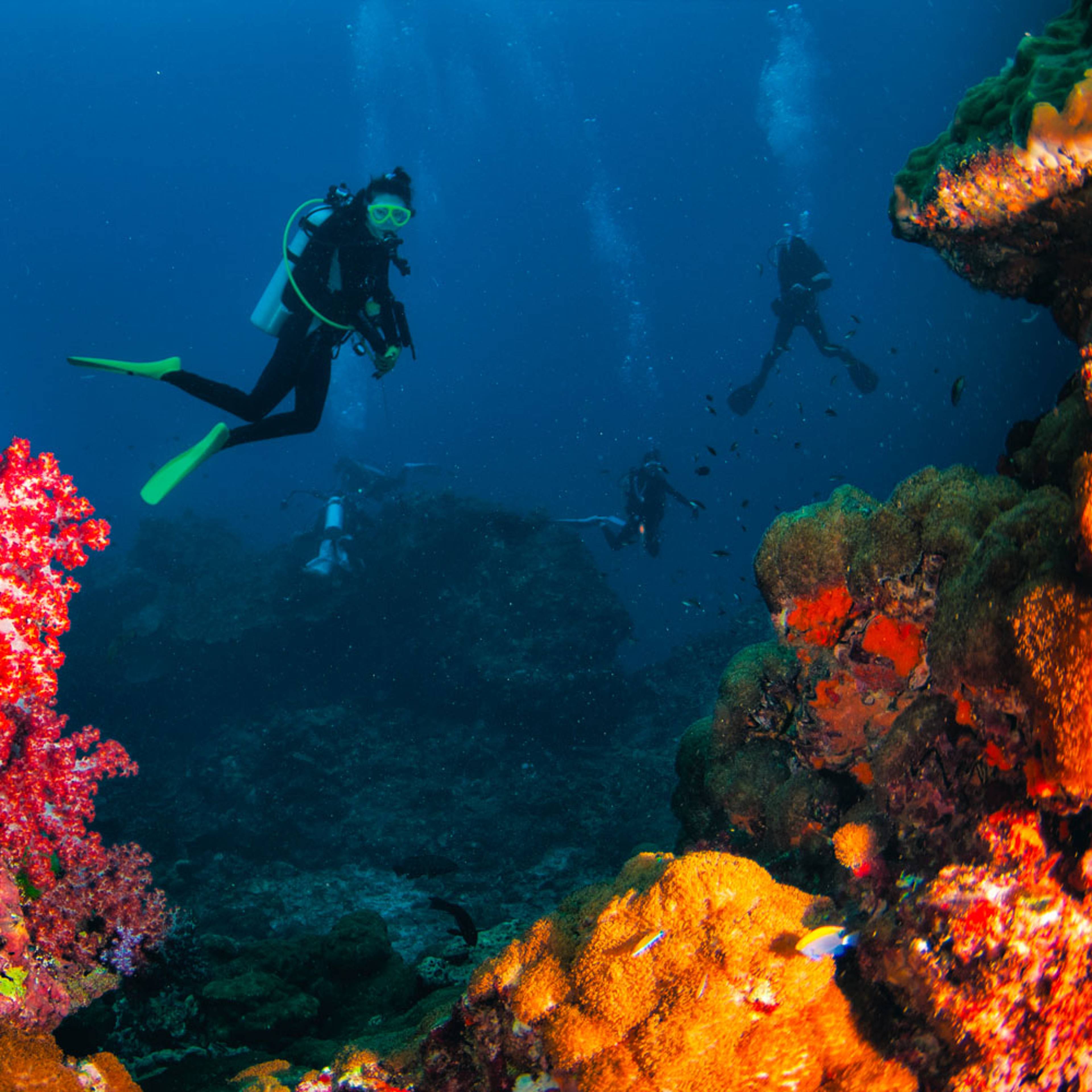 Experience diving in Thailand with a hand-picked local expert