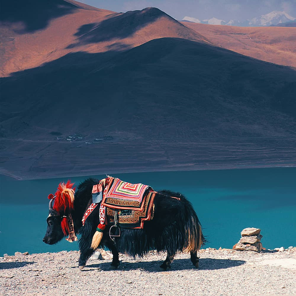 Design your perfect tour of Tibet's lakes with a local expert