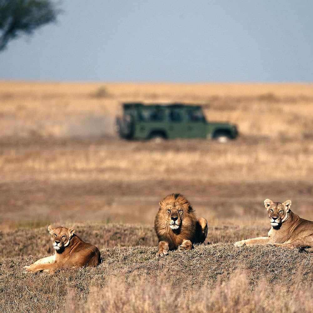 Votre Safari au Botswana 100% sur-mesure