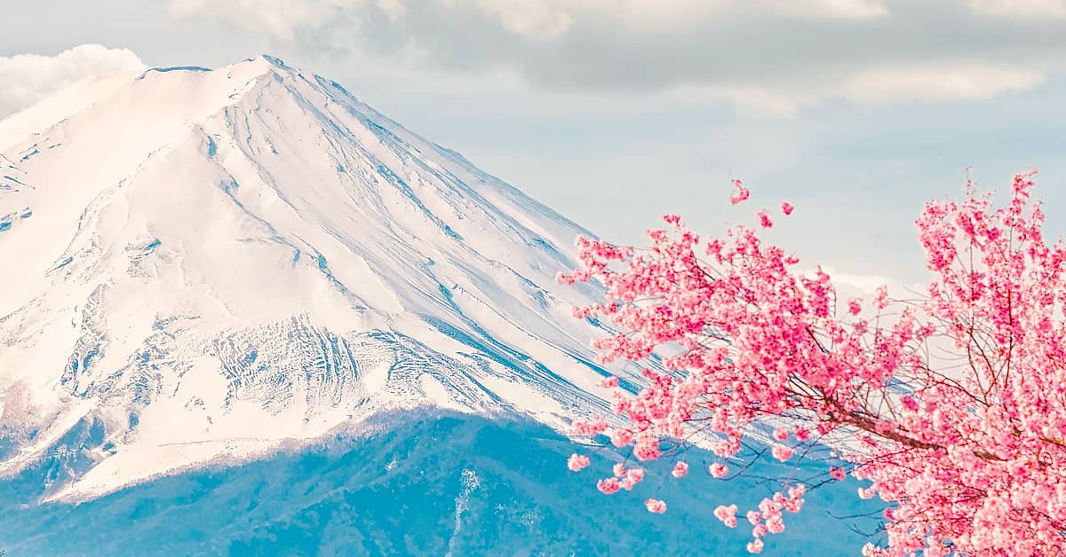 Viaggi in Giappone in primavera