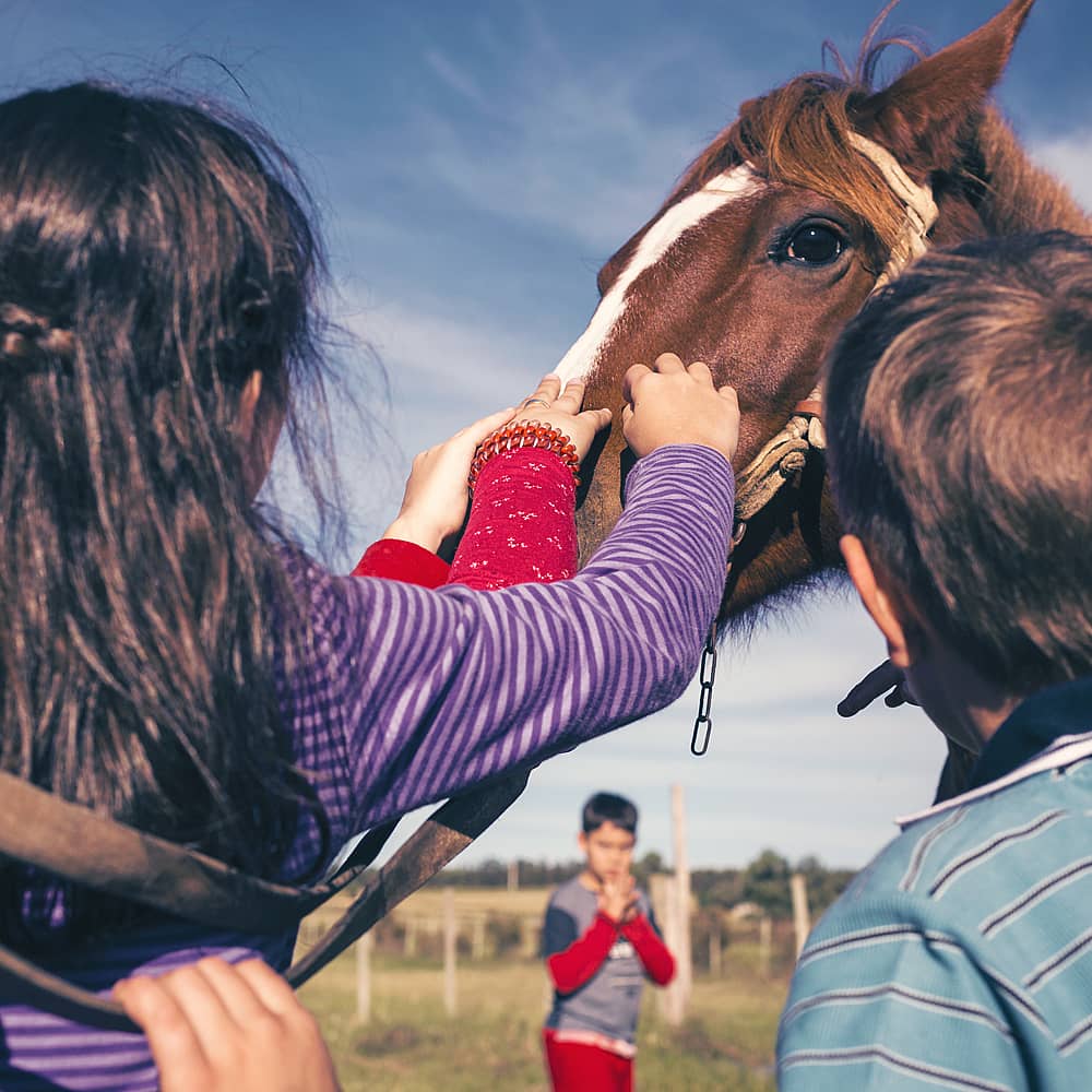 Design your perfect family holiday with a local expert in Uruguay