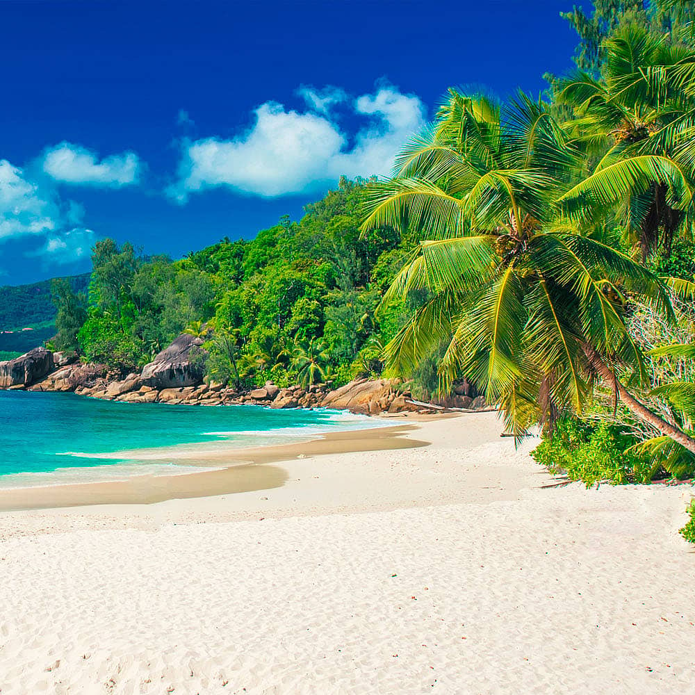 Il tuo viaggio su misura nelle isole delle Seychelles