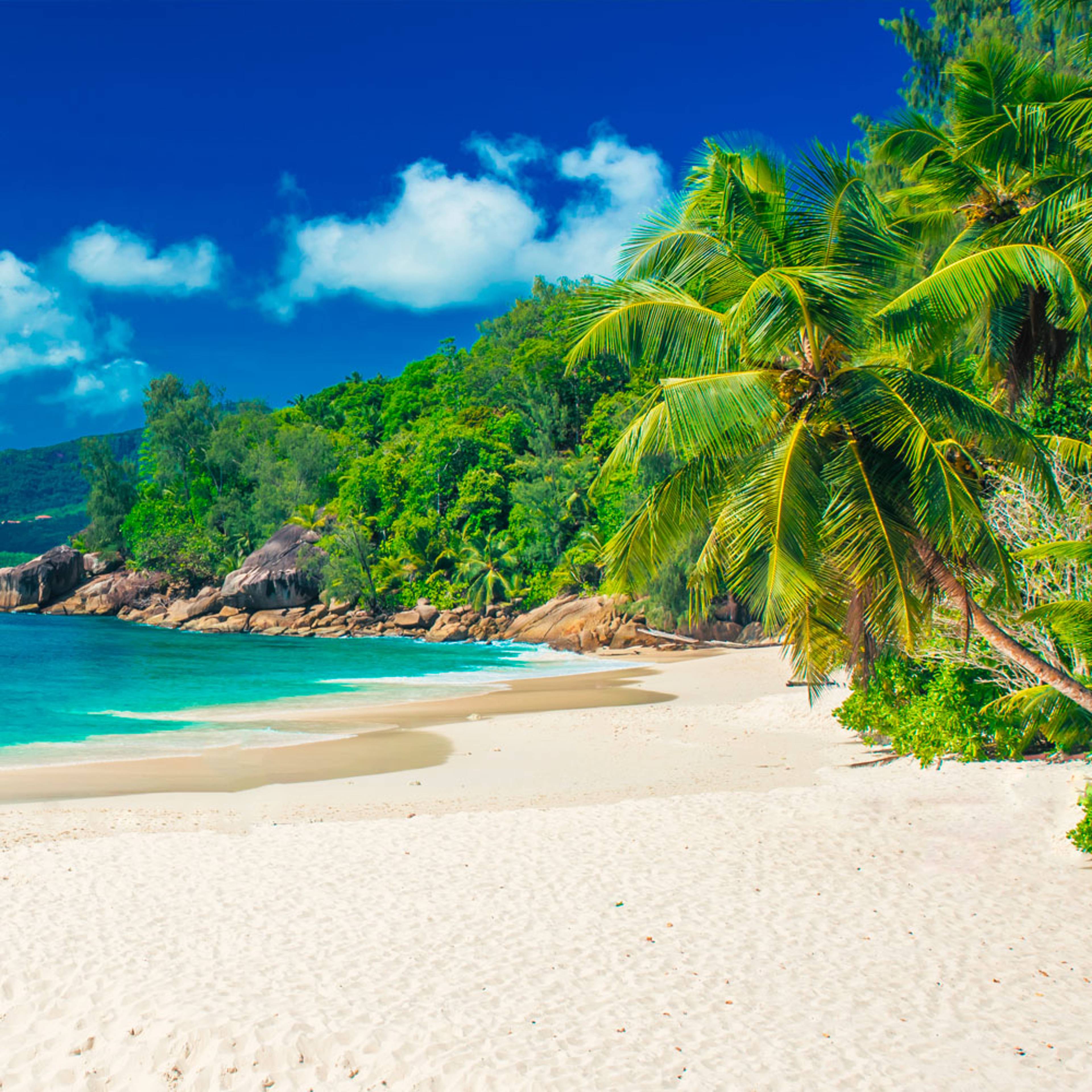 Il tuo viaggio su misura nelle isole delle Seychelles