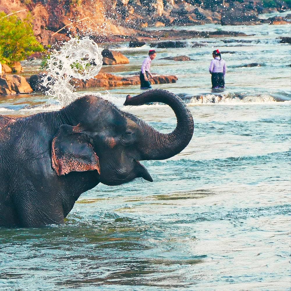 Votre Safari au Laos 100% sur-mesure