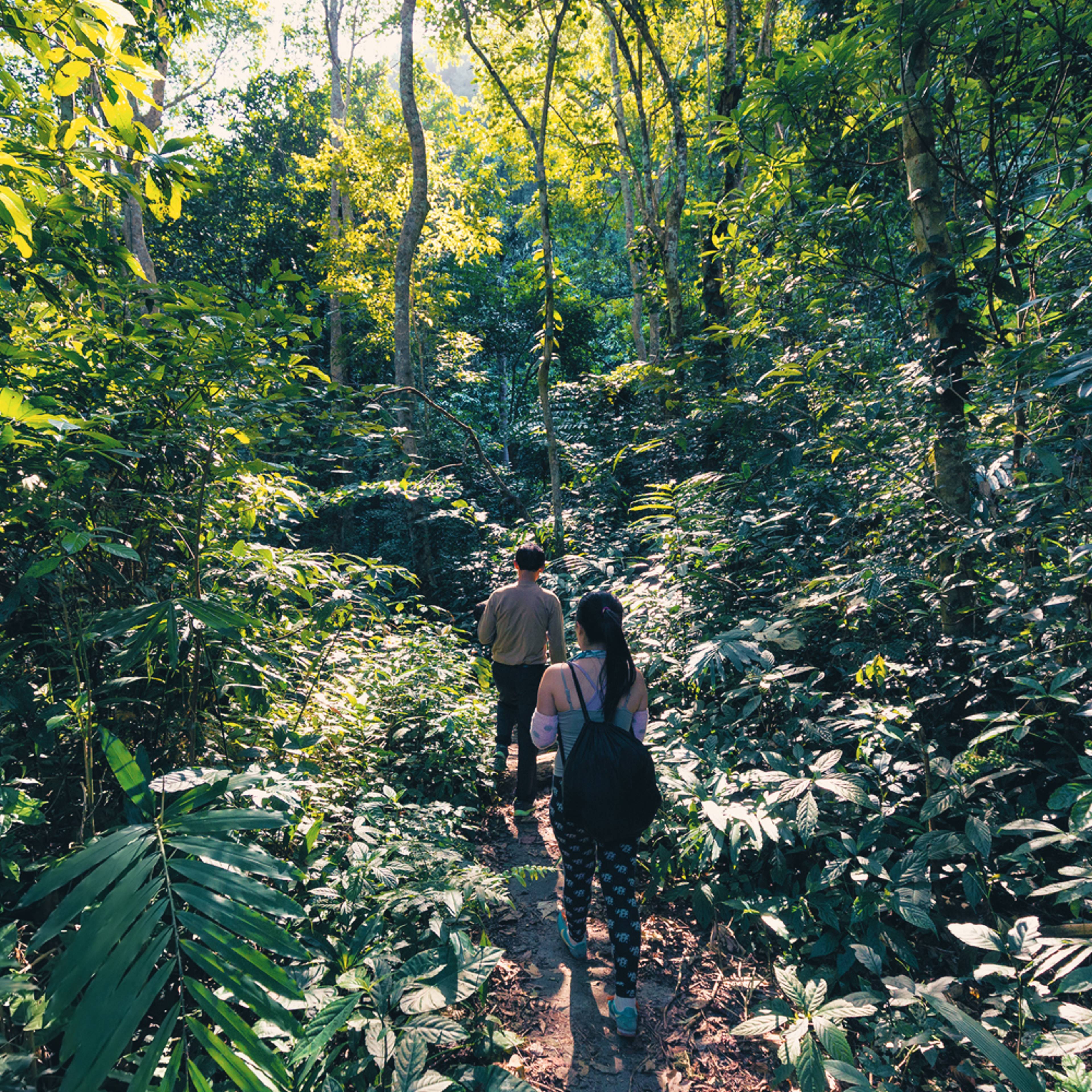 Design your perfect jungle tour with a local expert in Vietnam