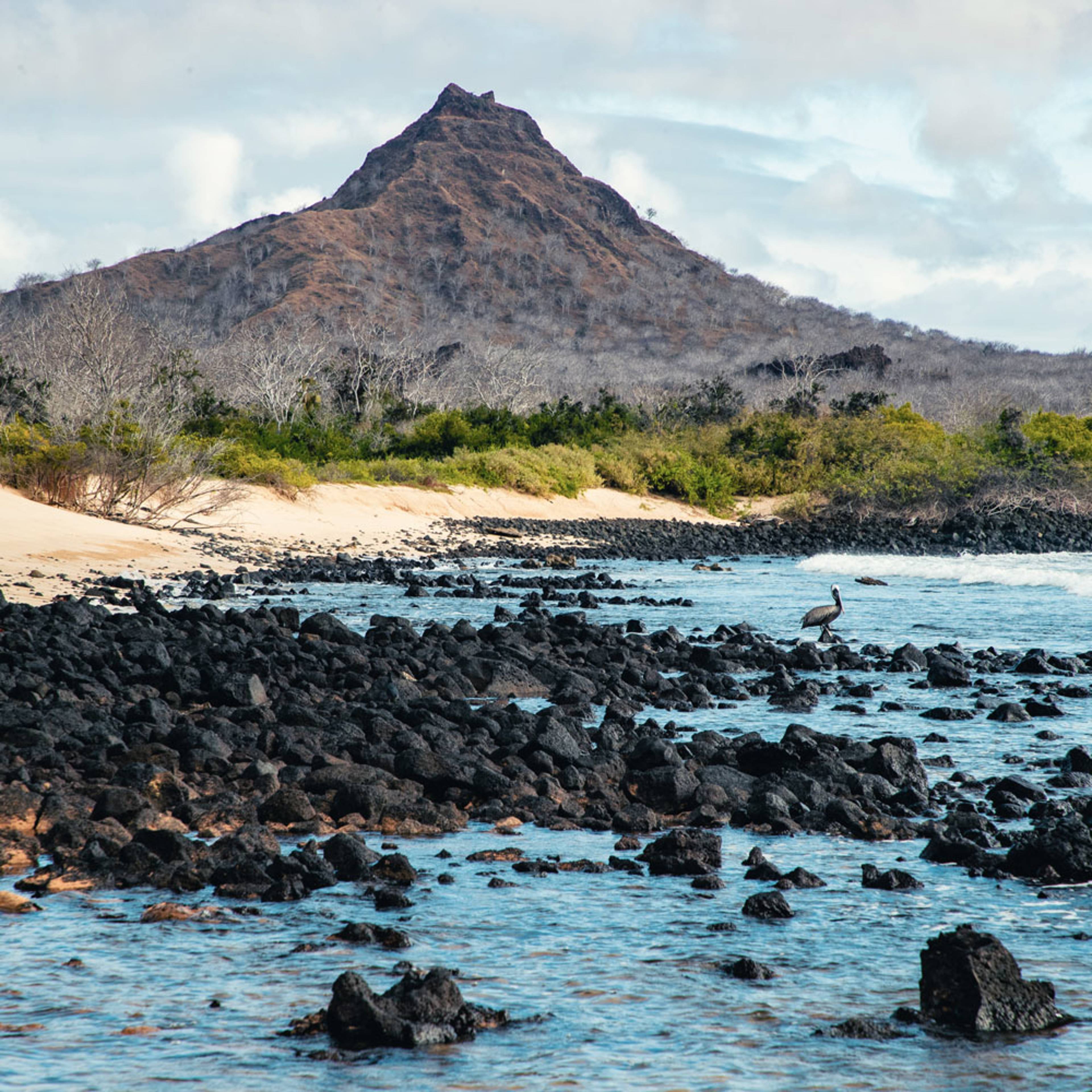 Eine Woche auf die Galapagos Inseln - Reise jetzt individuell gestalten