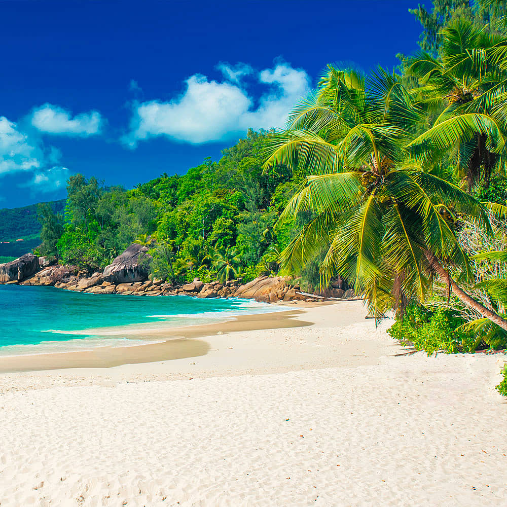 Partez à la découverte des îles des Seychelles 100% sur mesure