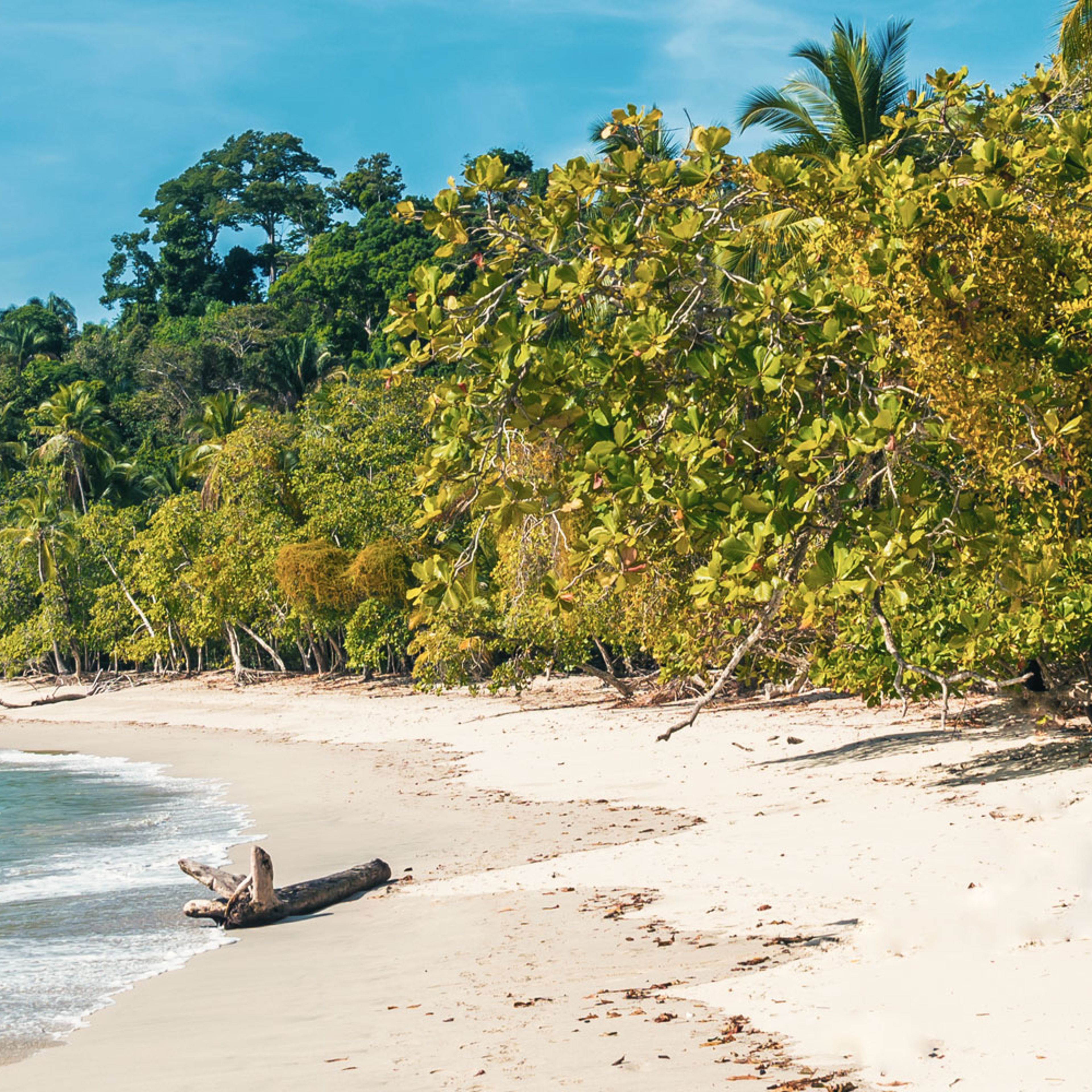 Strand und Meer Costa Rica Reisen