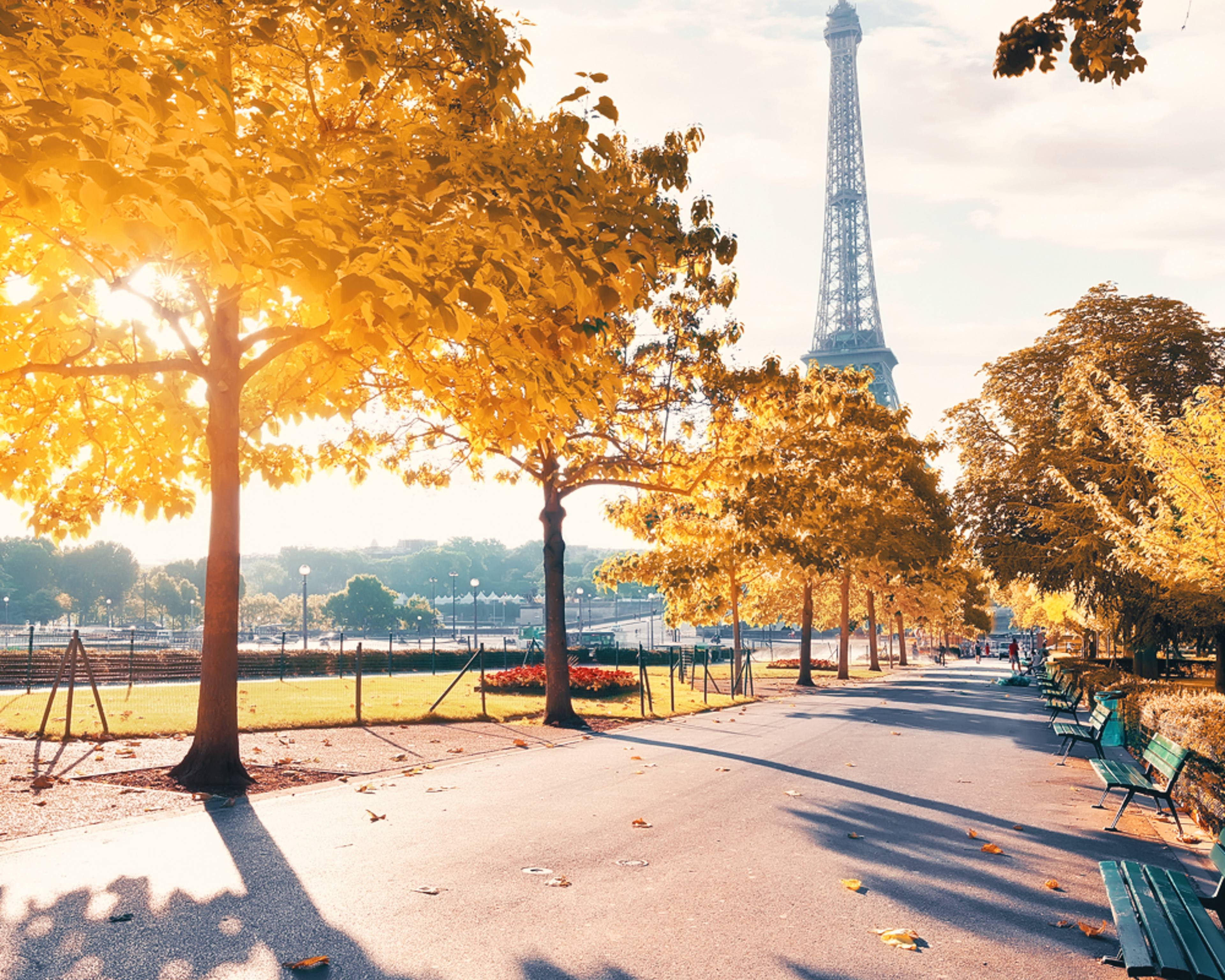 Design your perfect Fall vacation in France with a local expert