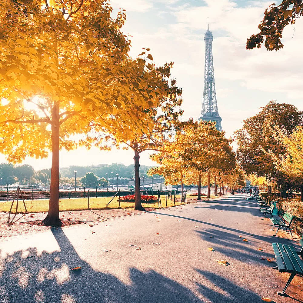 Design your perfect Fall vacation in France with a local expert