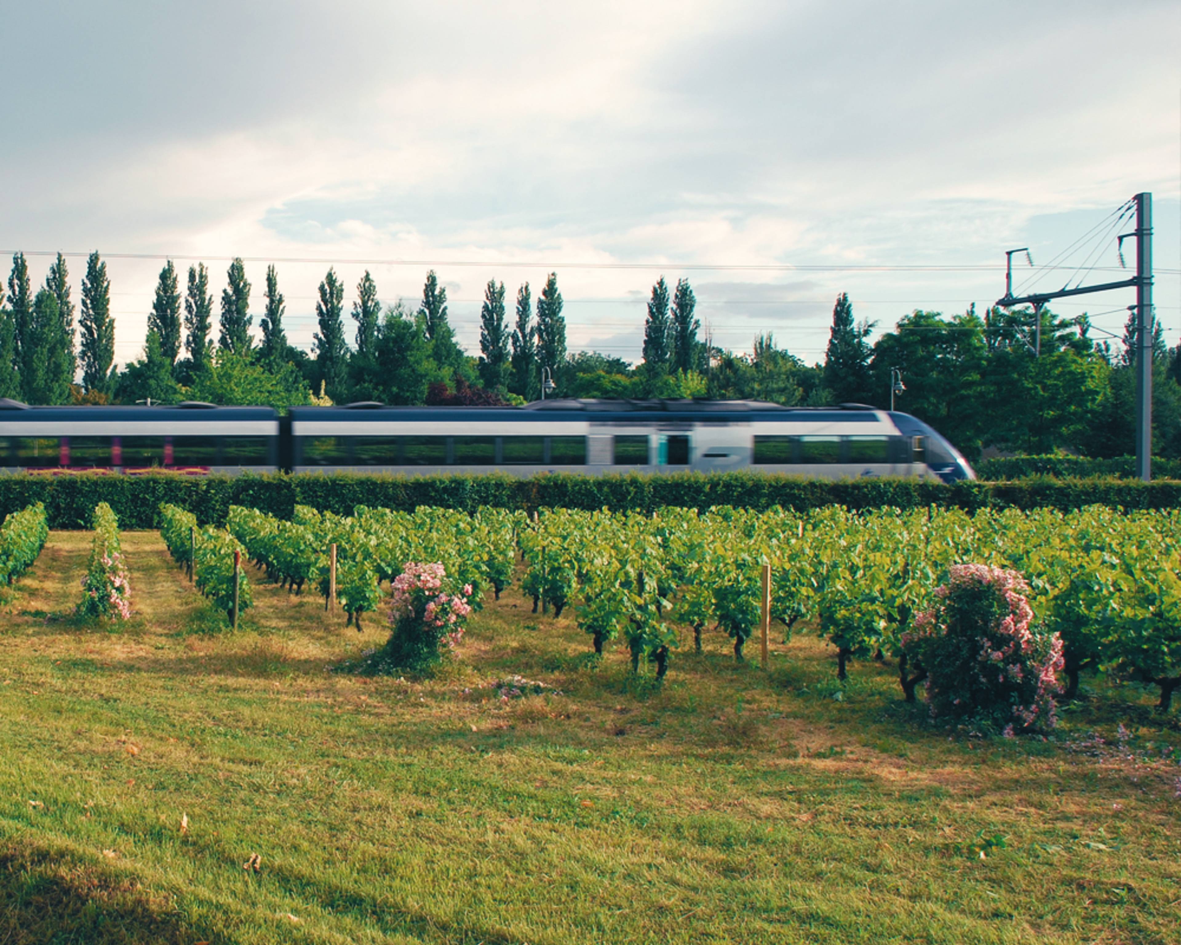 Design your perfect train tour with a local expert in France