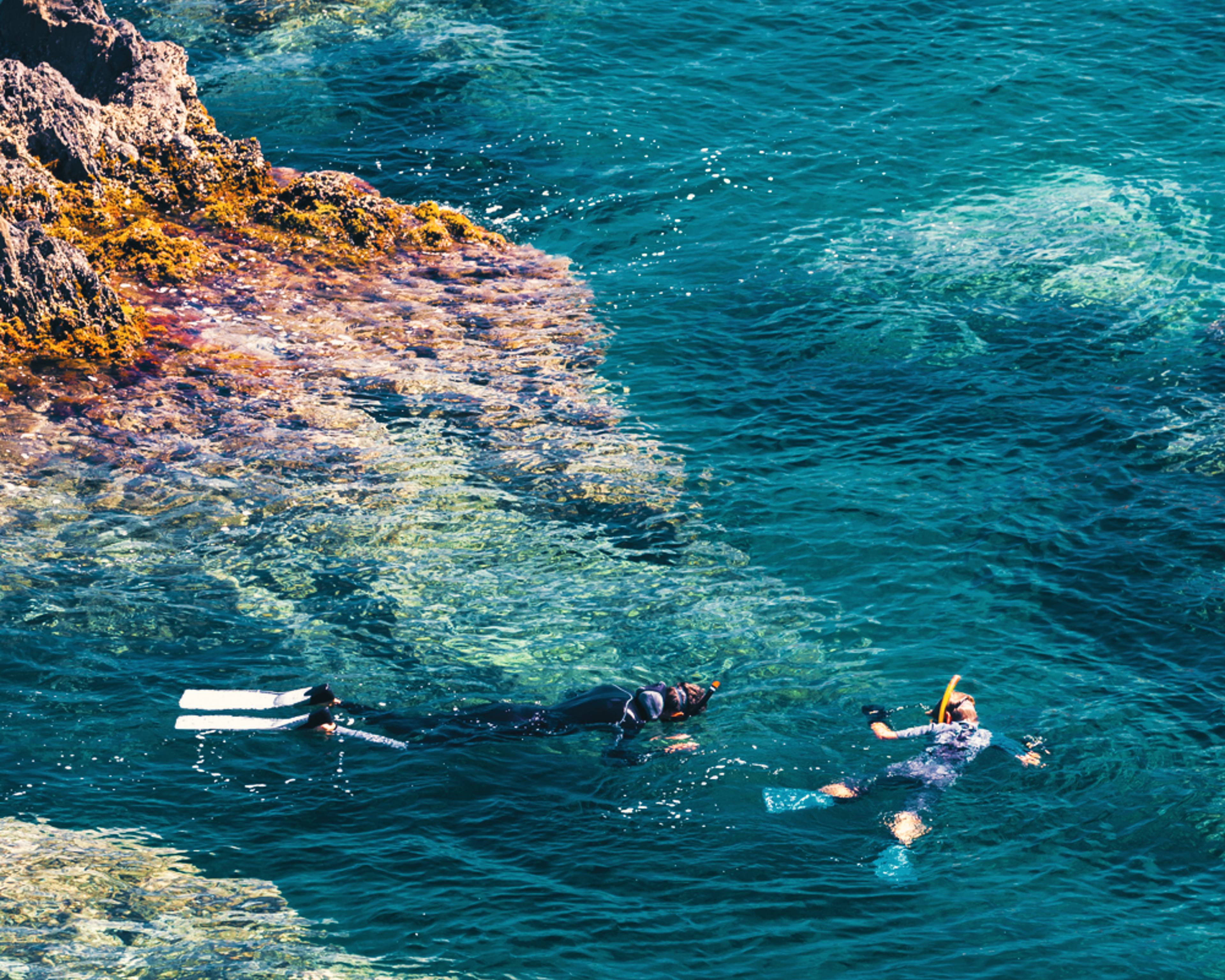 Experience snorkeling in France with a hand-picked local expert