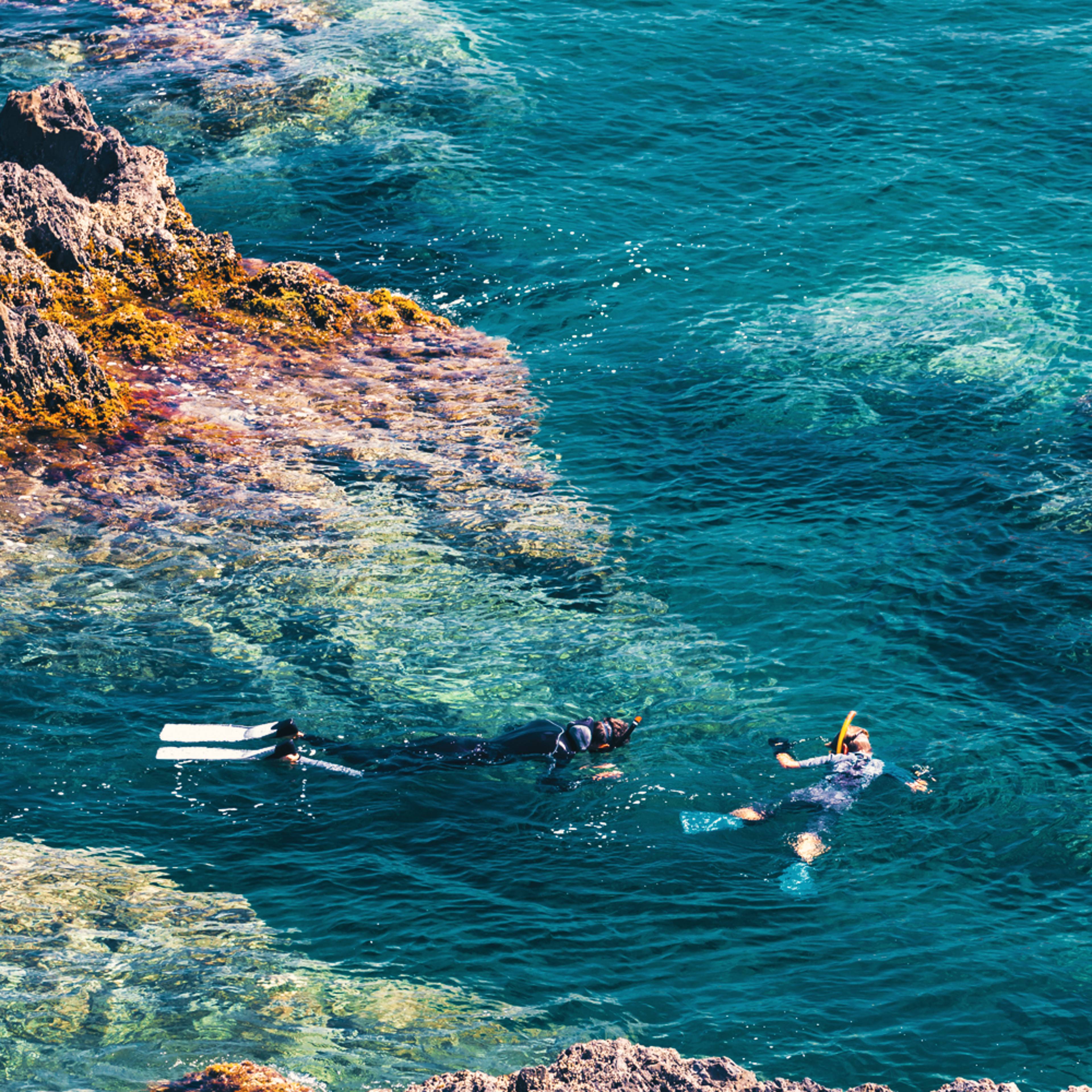 Experience snorkeling in France with a hand-picked local expert