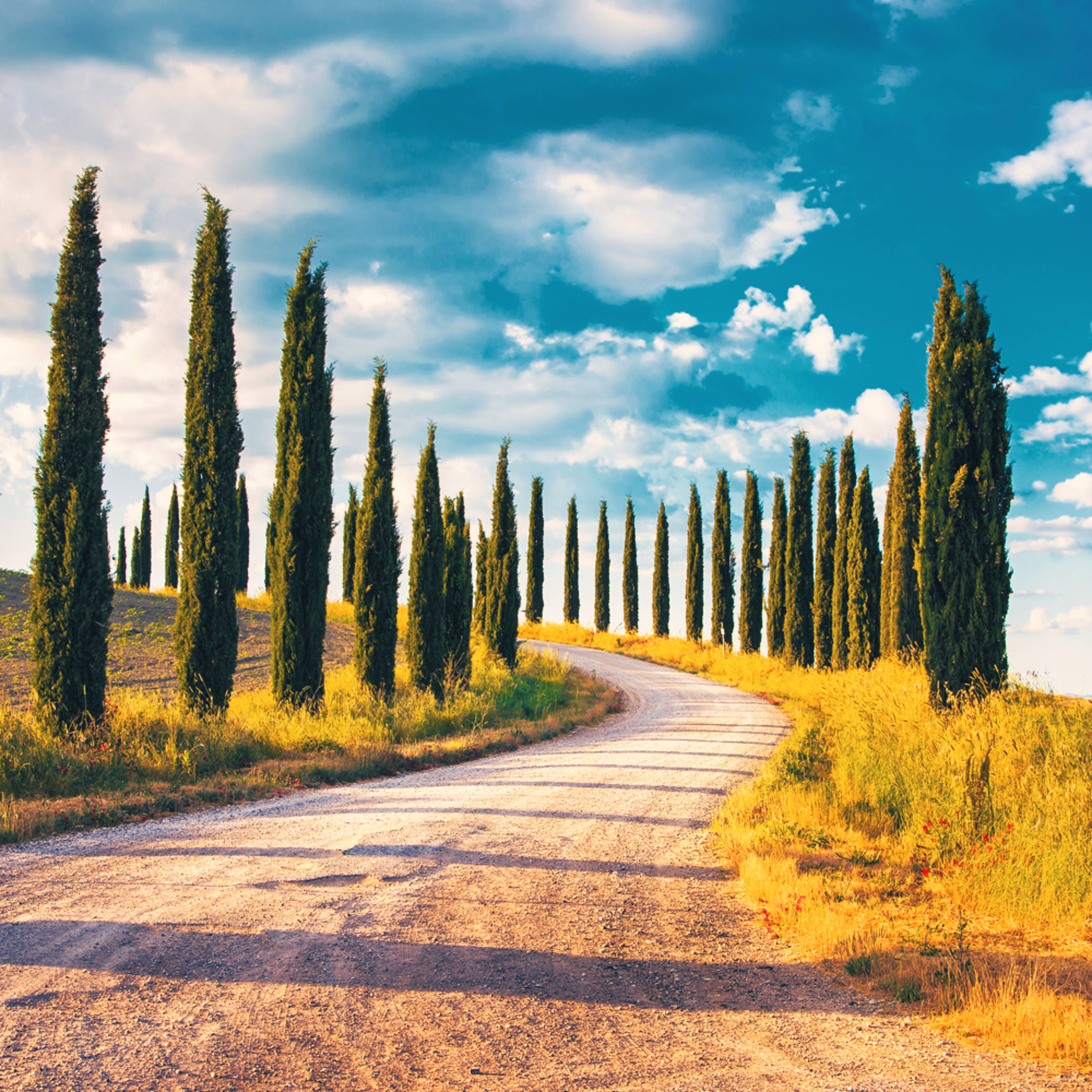 Design your perfect spring vacation in Italy with a local expert