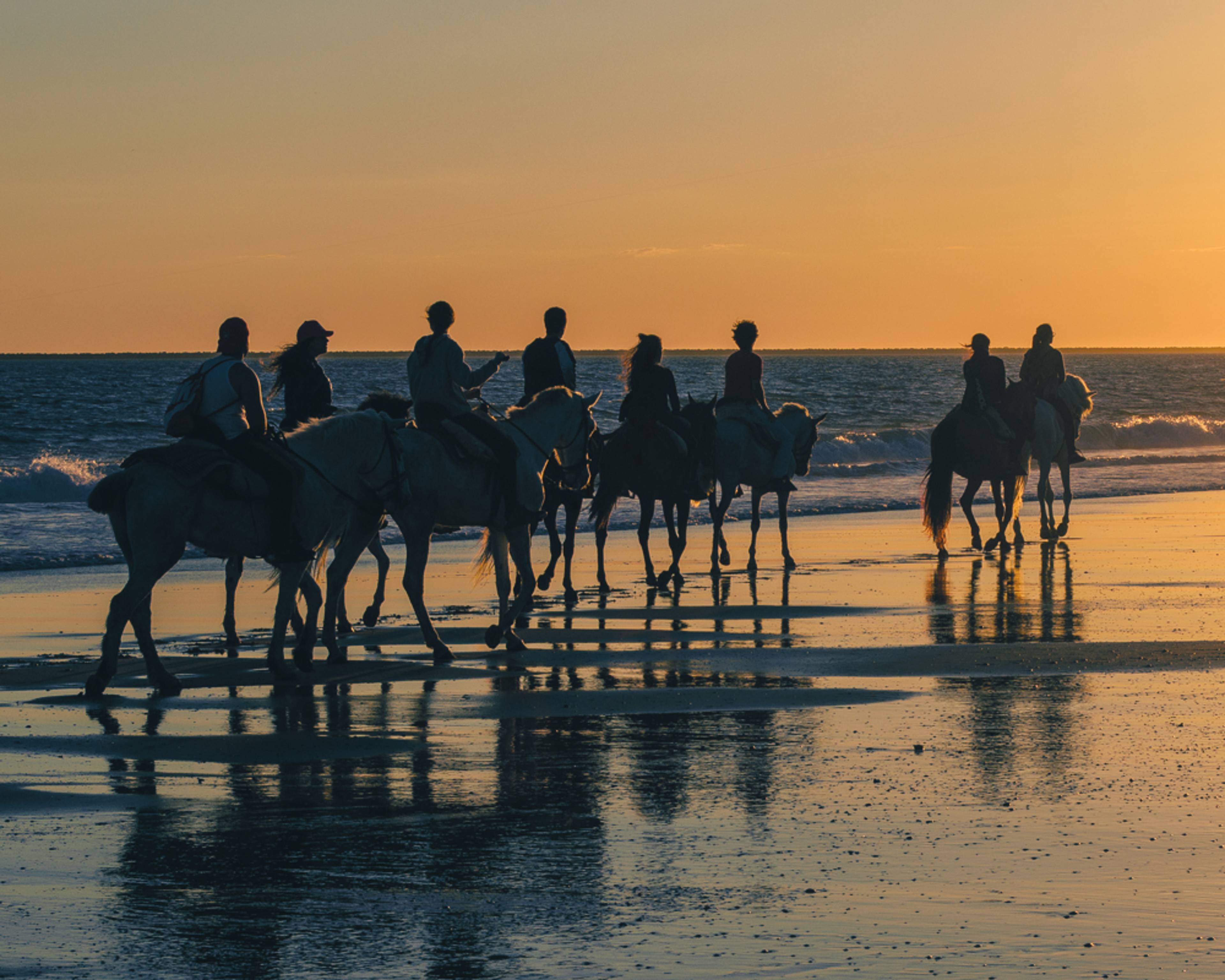 Experience horseback riding in Spain with a local expert