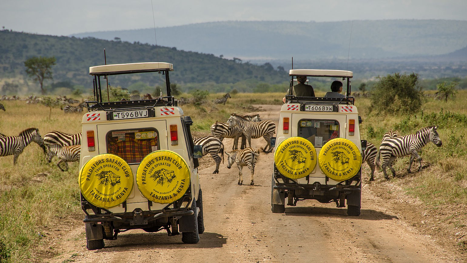 tanzania safari jambo tours