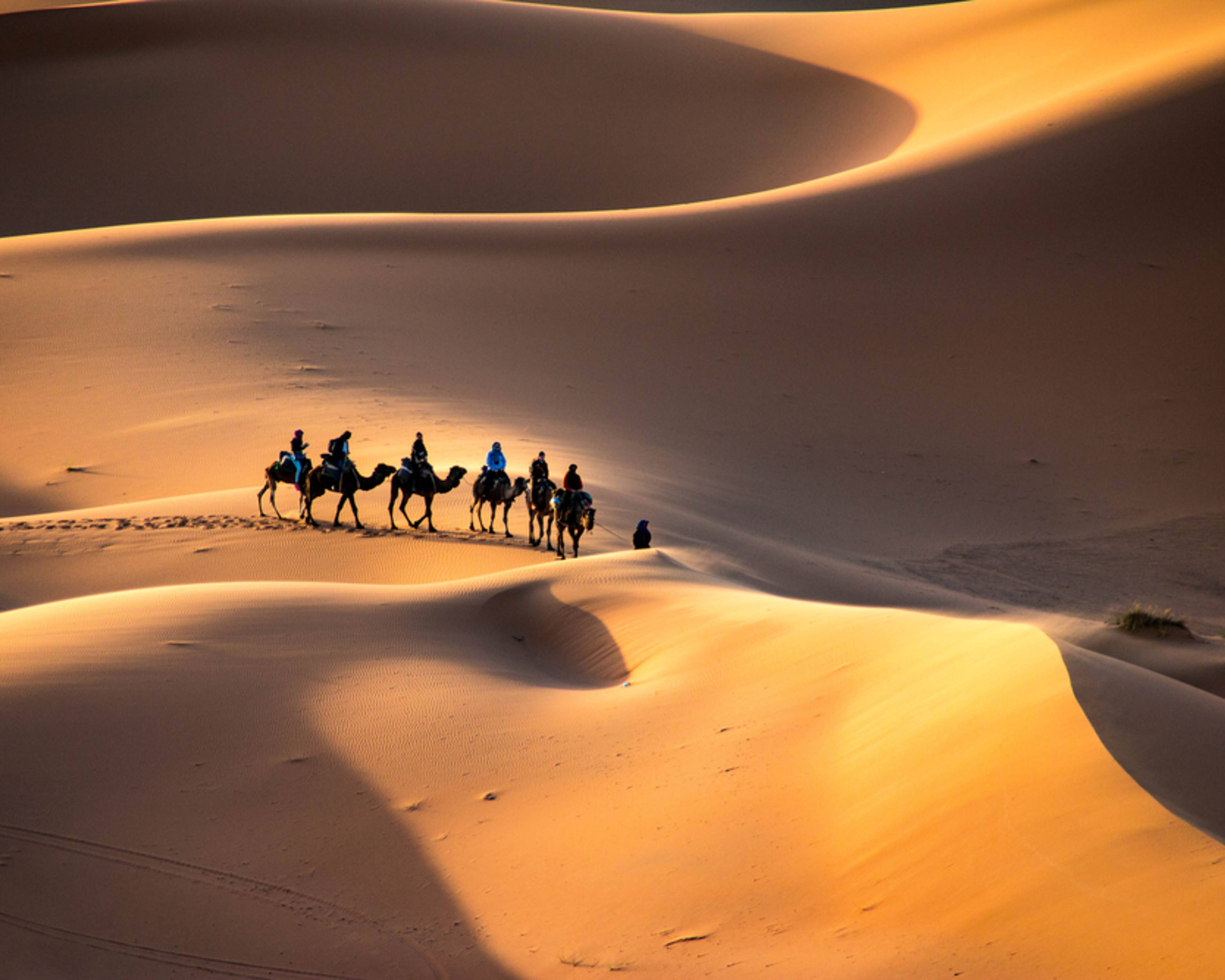 Le désert , terre des contrastes ... 