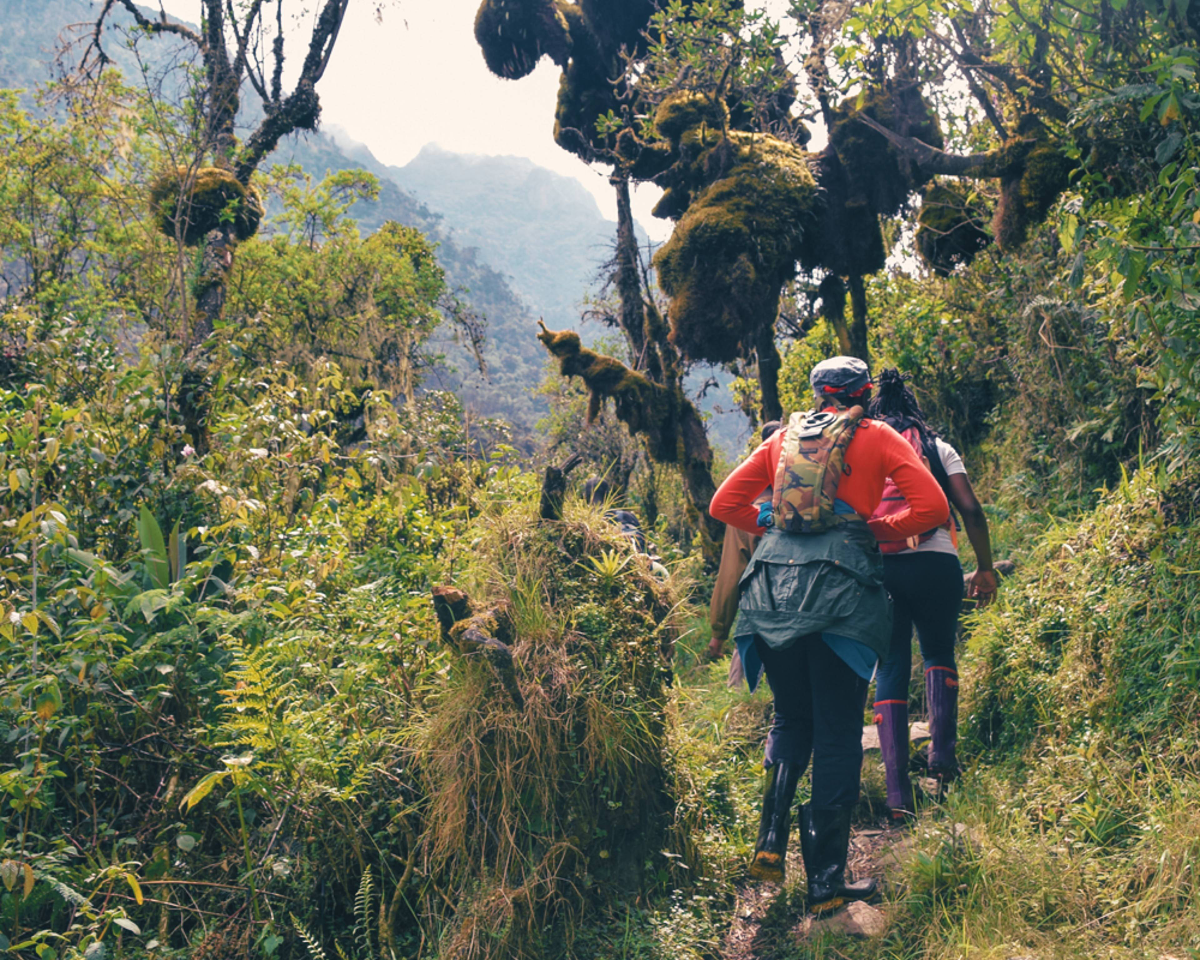 Crea tu viaje de trekking en Uganda 100% a medida