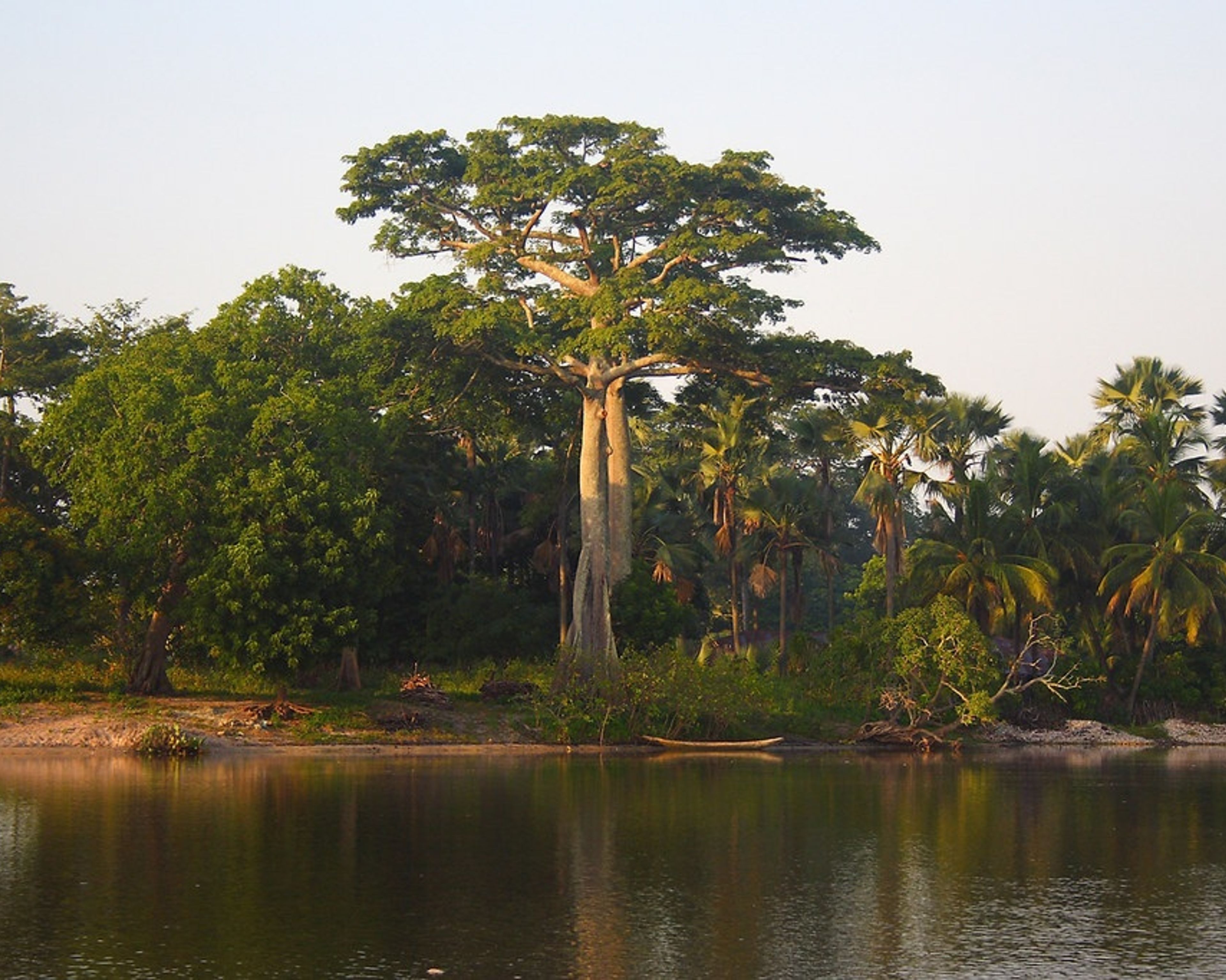Randonnées et rencontres avec les ethnies de la verte Casamance