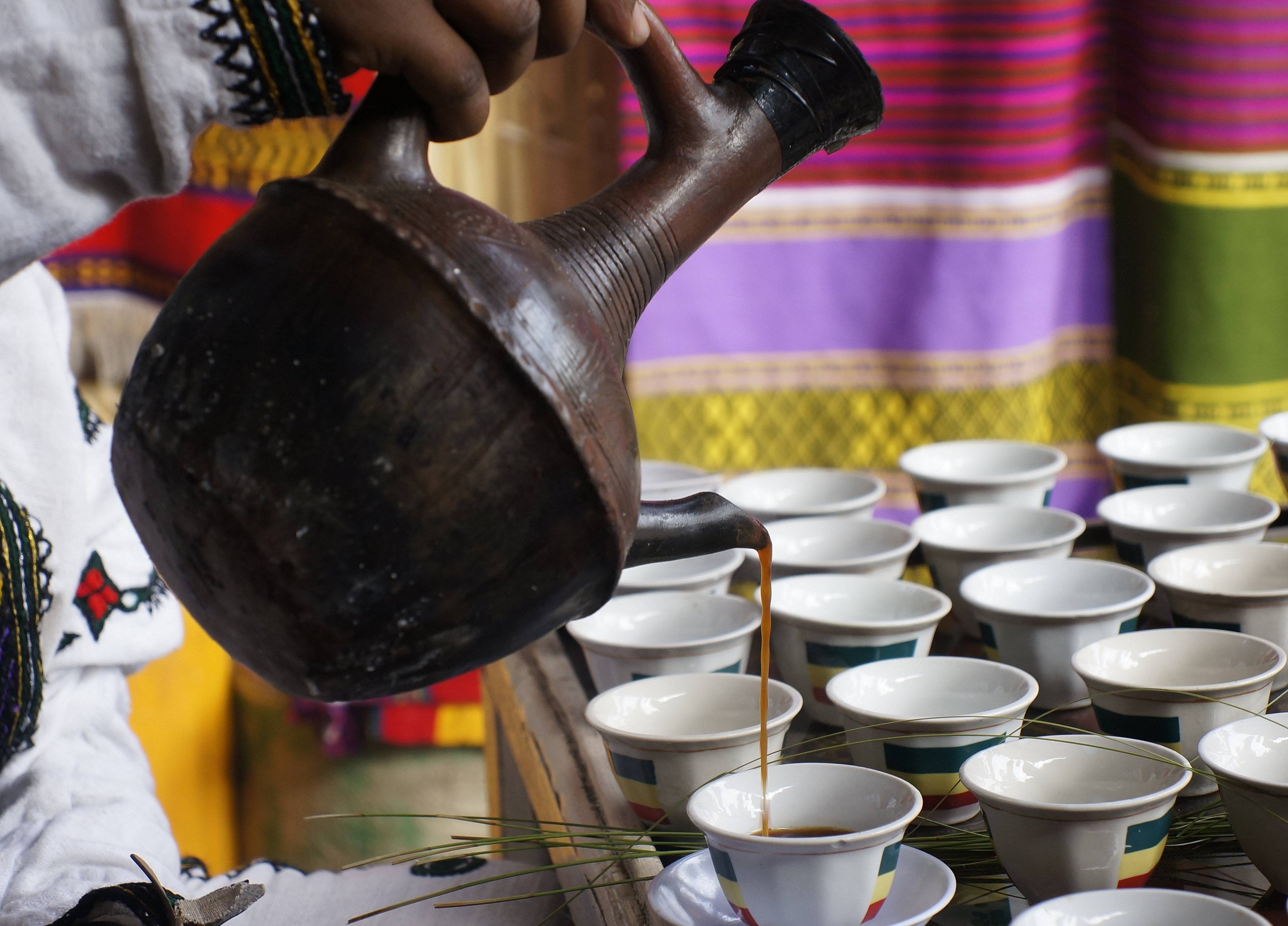 Kaffee, Kaffee, Kaffee - von Harar bis zum letzten wilden Kaffeewald