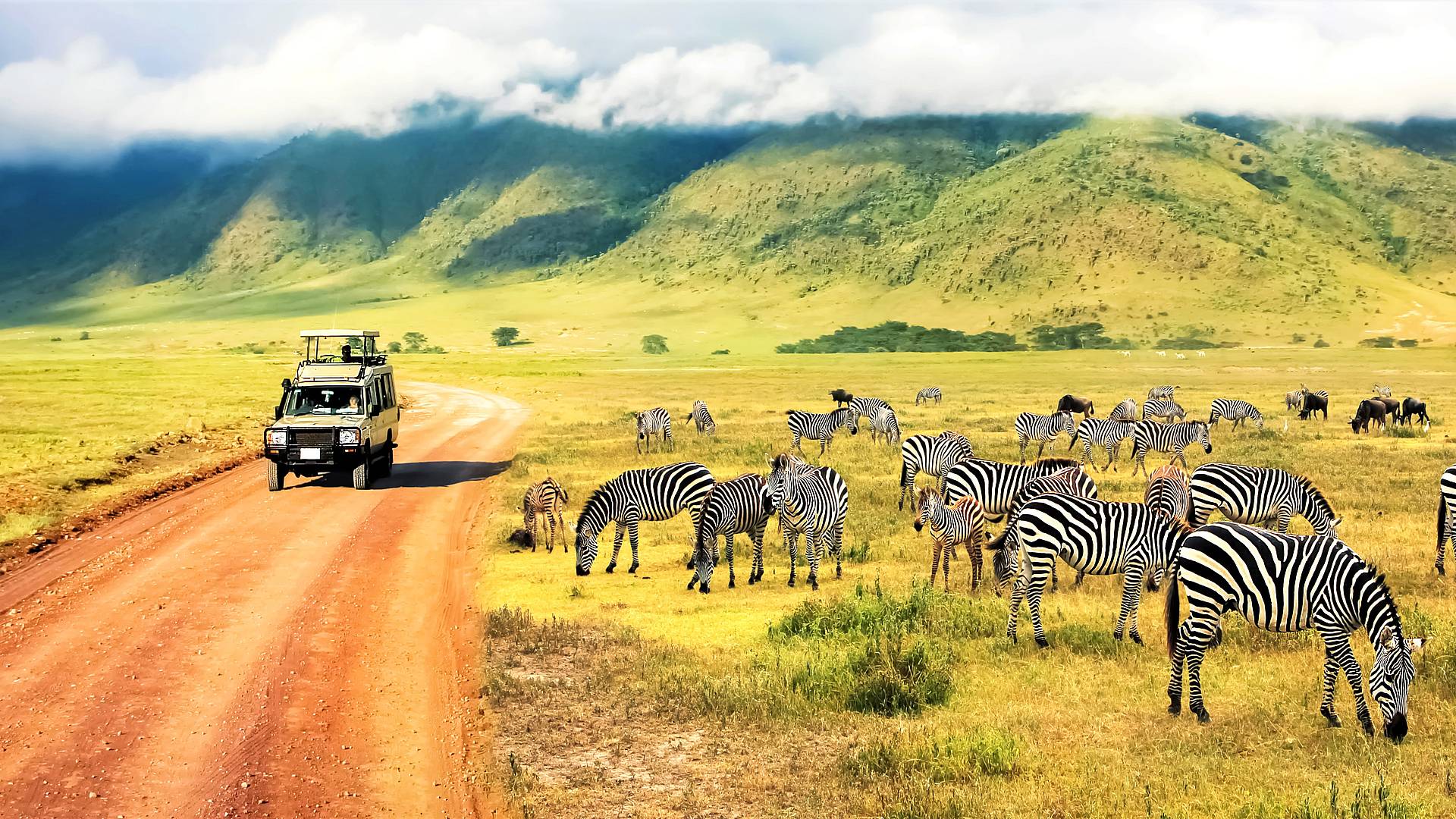 Safari confort en los mejores parques de Tanzania
