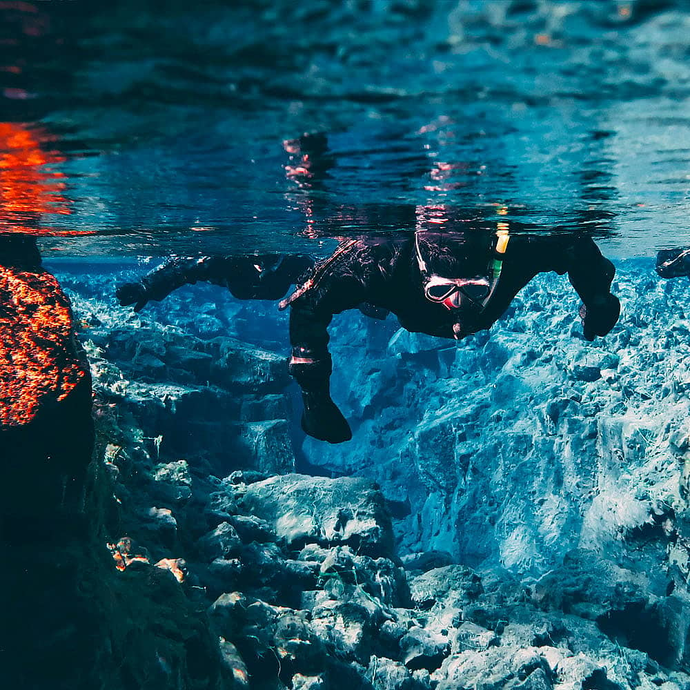 Experience diving in Iceland with a hand-picked local expert