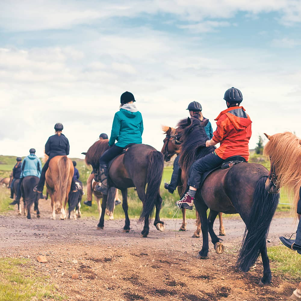 Experience horse riding in Iceland with a hand-picked local expert