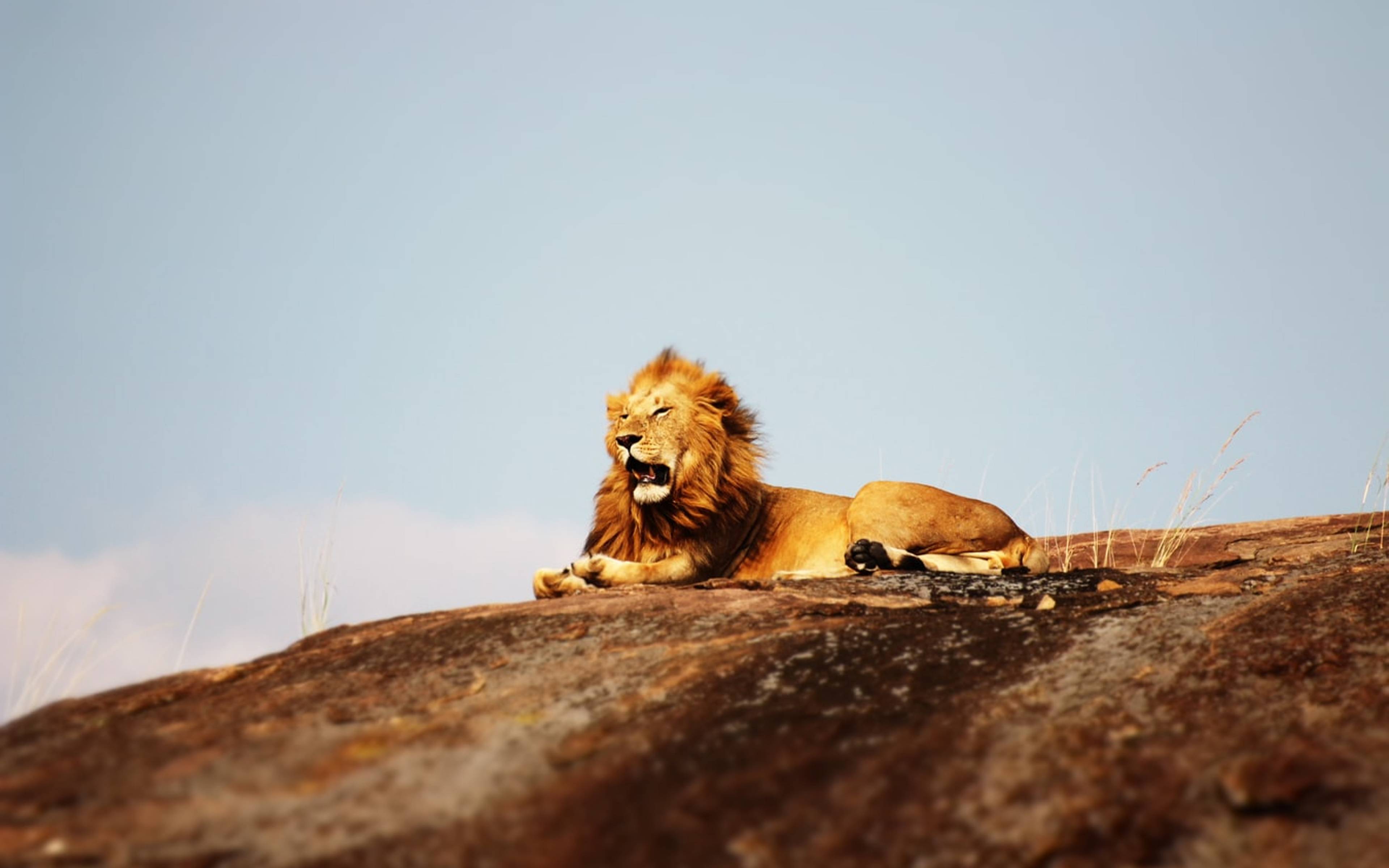 Parque Nacional de Serengueti
