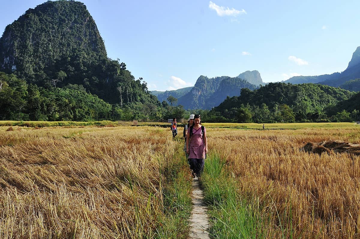 Immersion dans les villages et randonnée au coeur des rizières