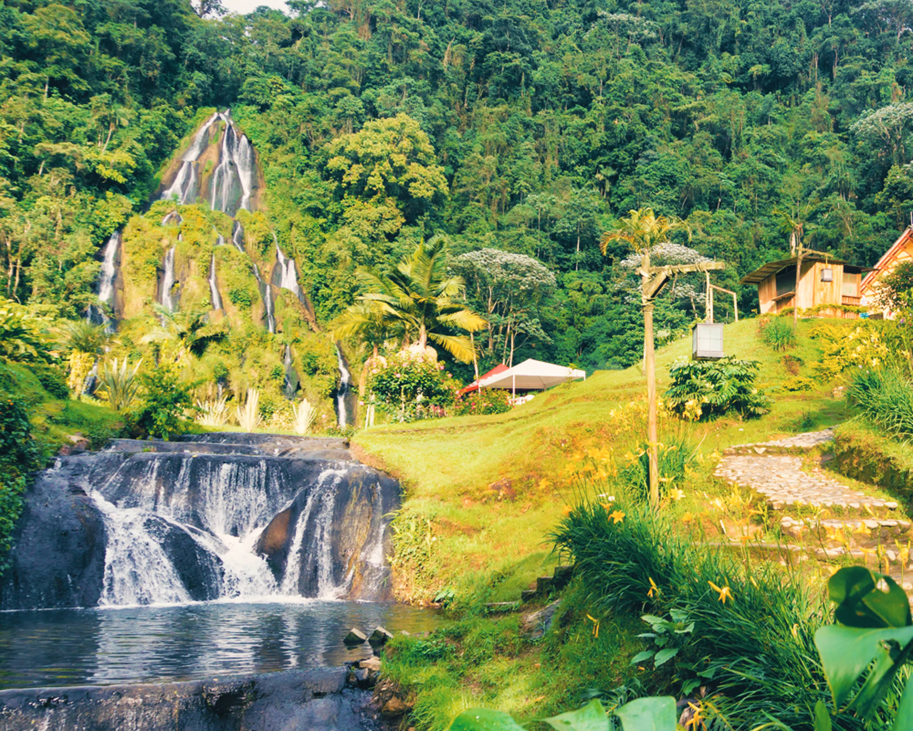 Uw op maat gemaakte natuurreis in Colombia