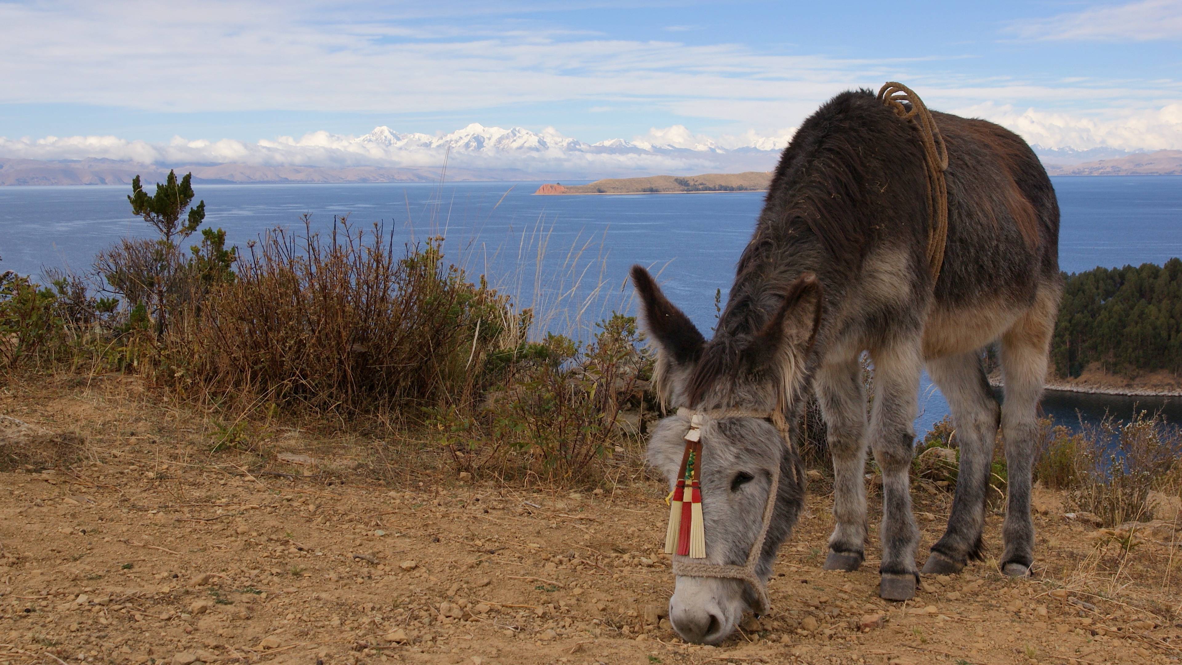 Da La Paz al Salar de Uyuni, un incredible viaggio