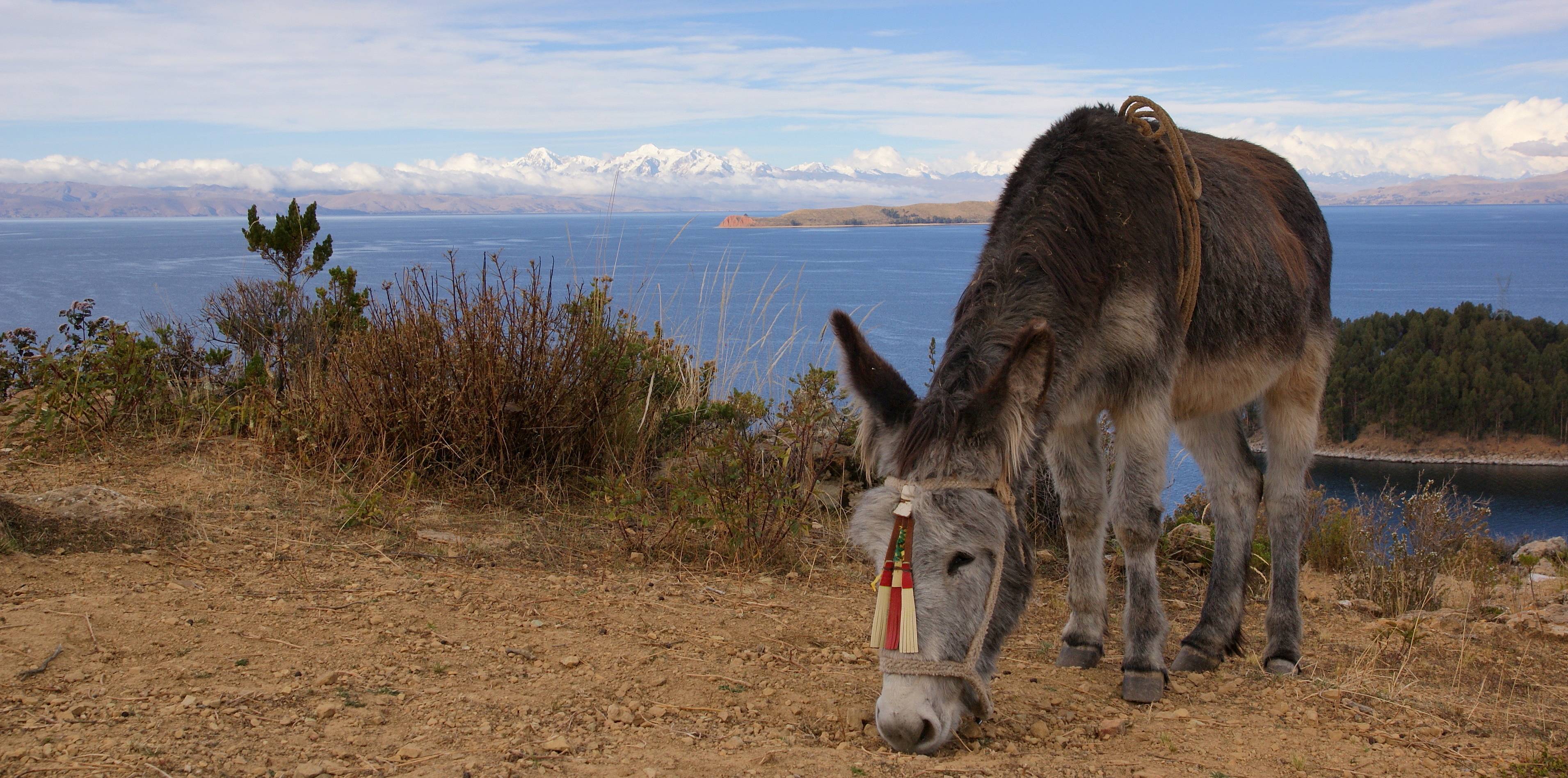 Da La Paz al Salar de Uyuni, un incredible viaggio