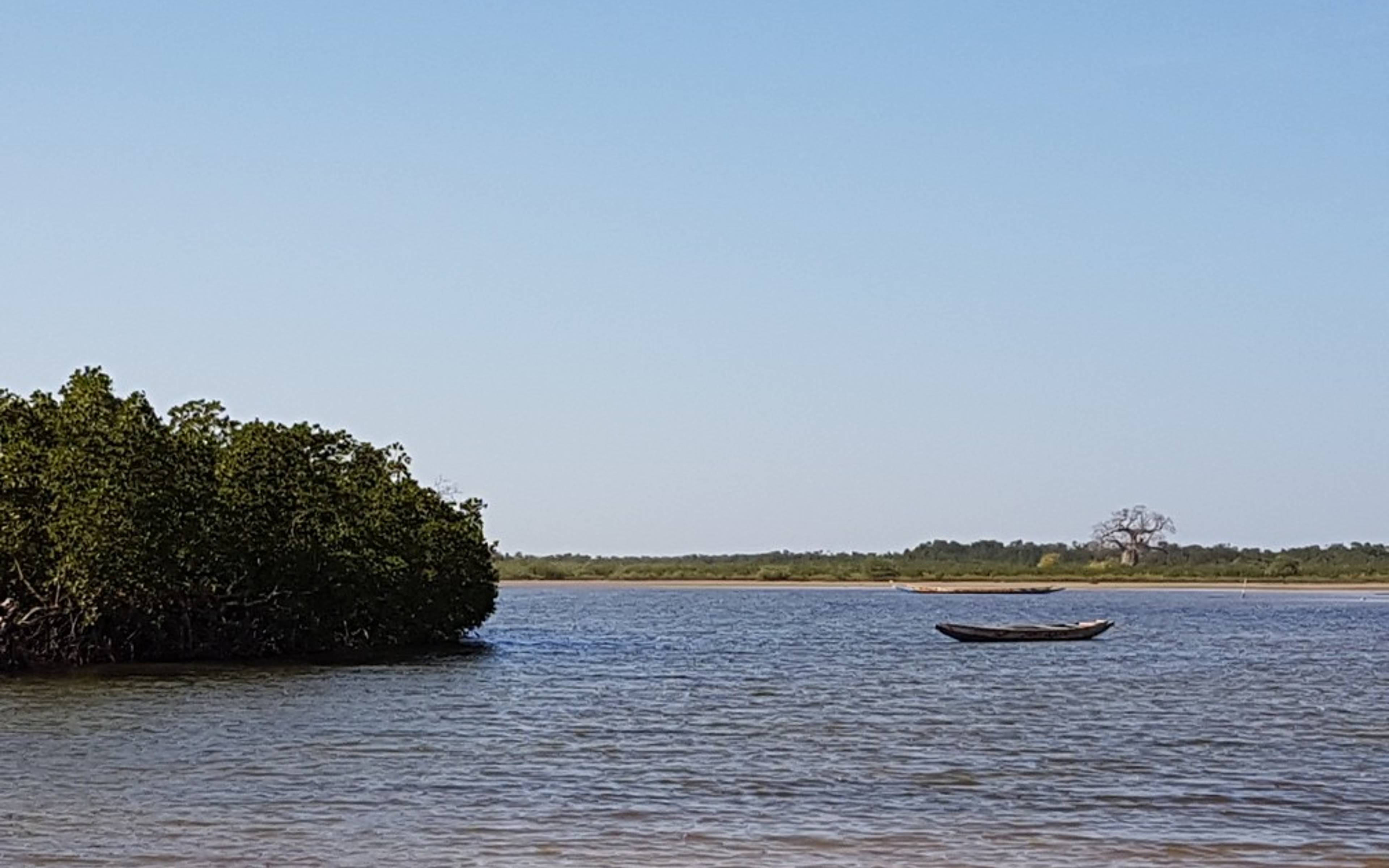 ​Bootstour zu den Inseln des Saloum-Deltas