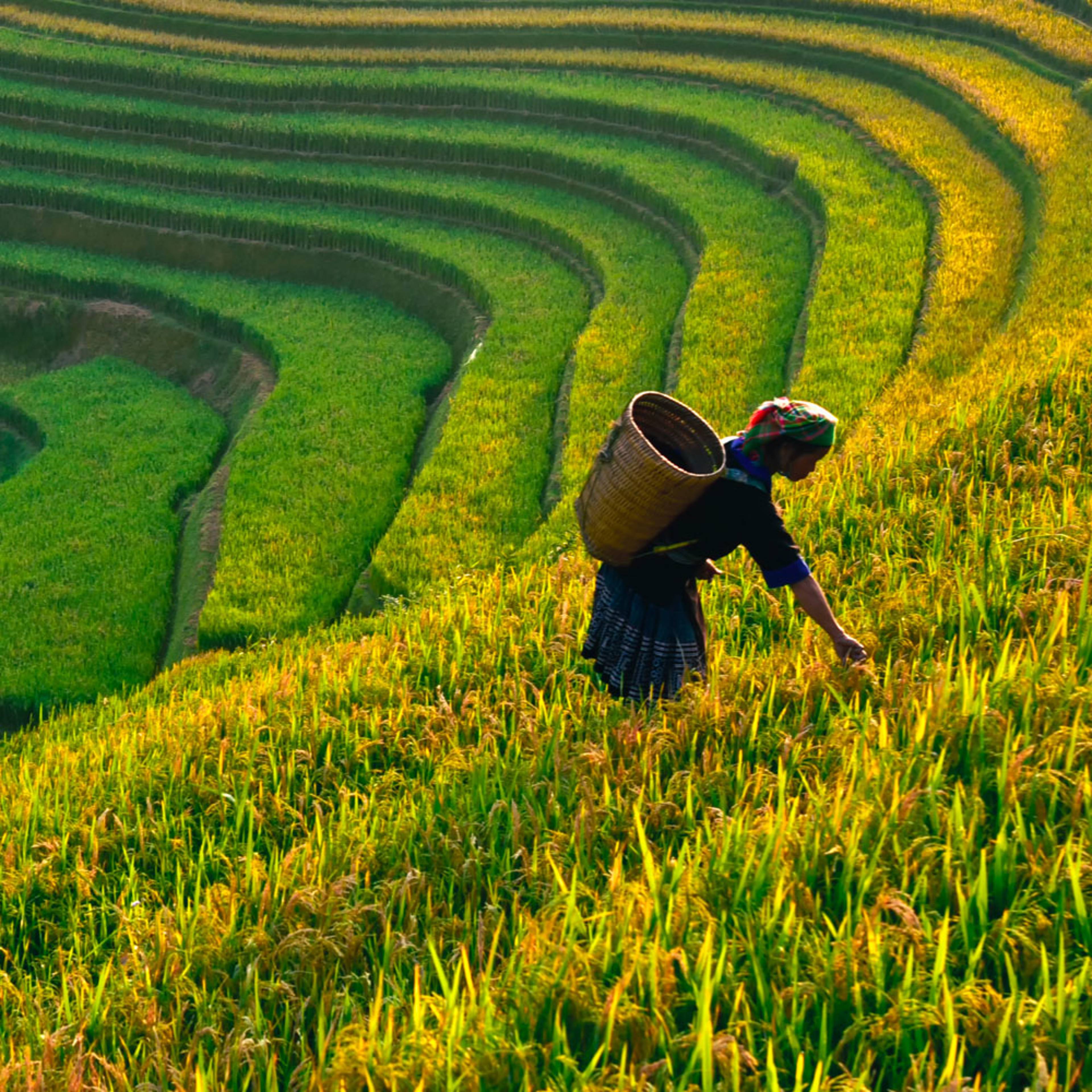 Naturreisen Vietnam - jetzt individuell gestalten