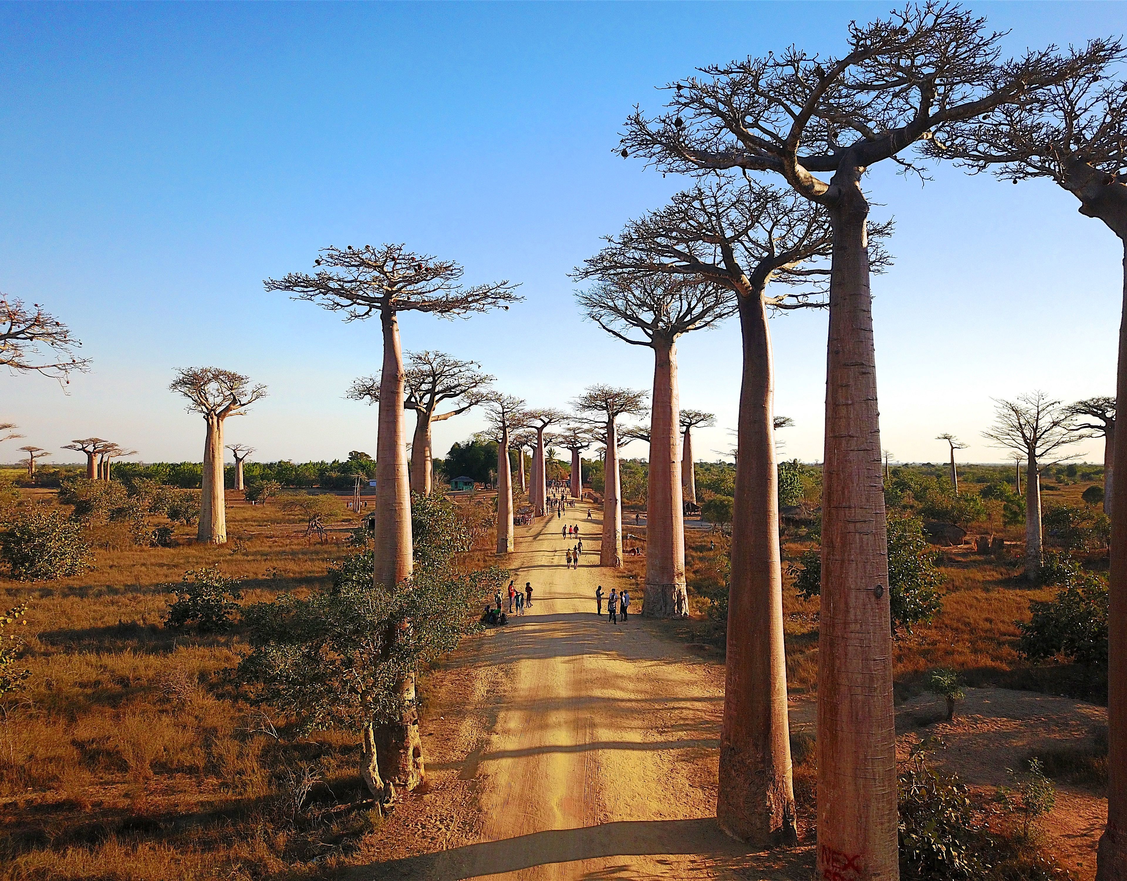 El gran tour de Madagascar
