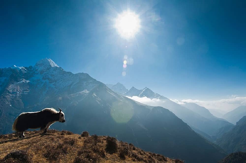 La vallée de Naar Phu, l'Annapurna secret