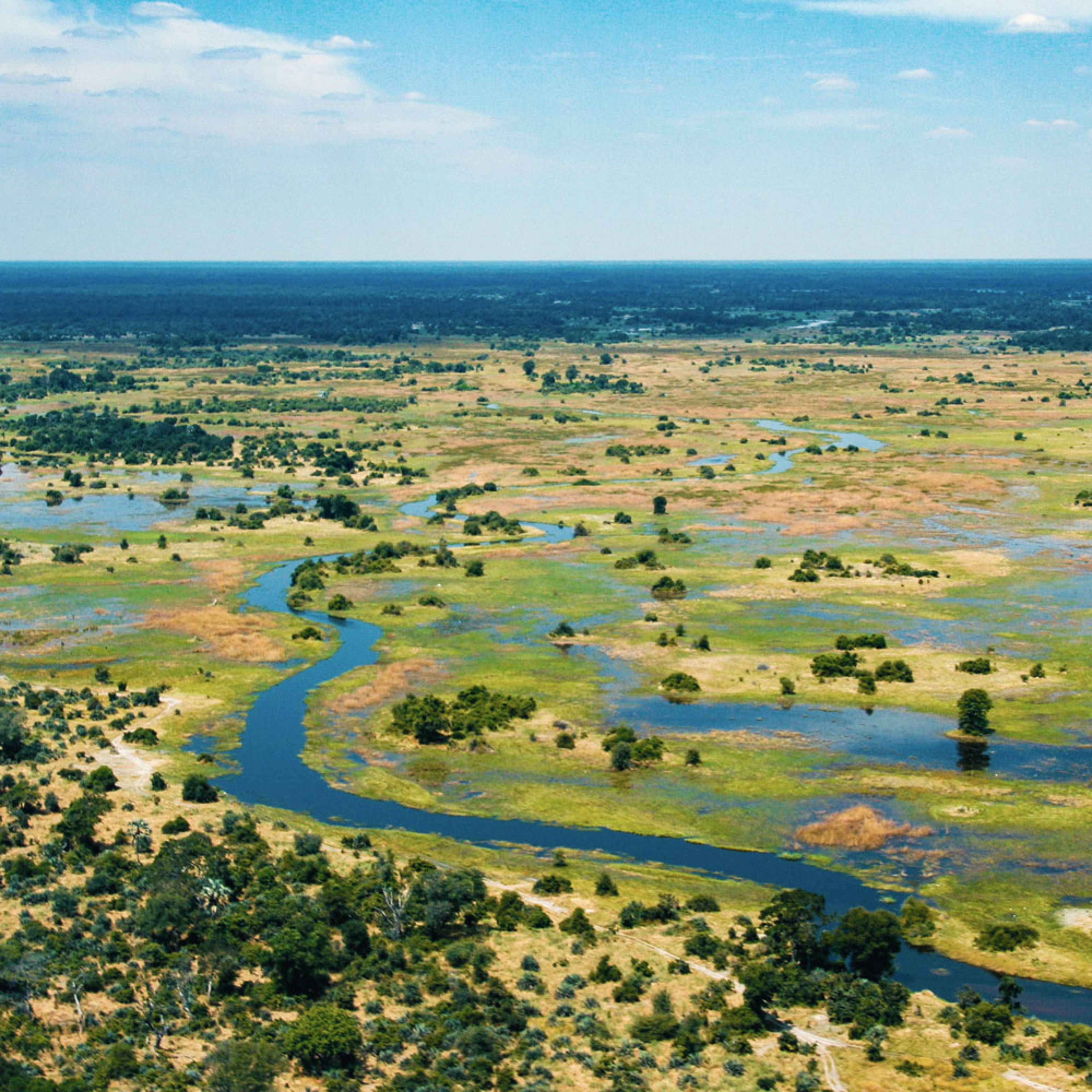 Individuelle Natur Reisen Botswana - Reise jetzt individuell gestalten