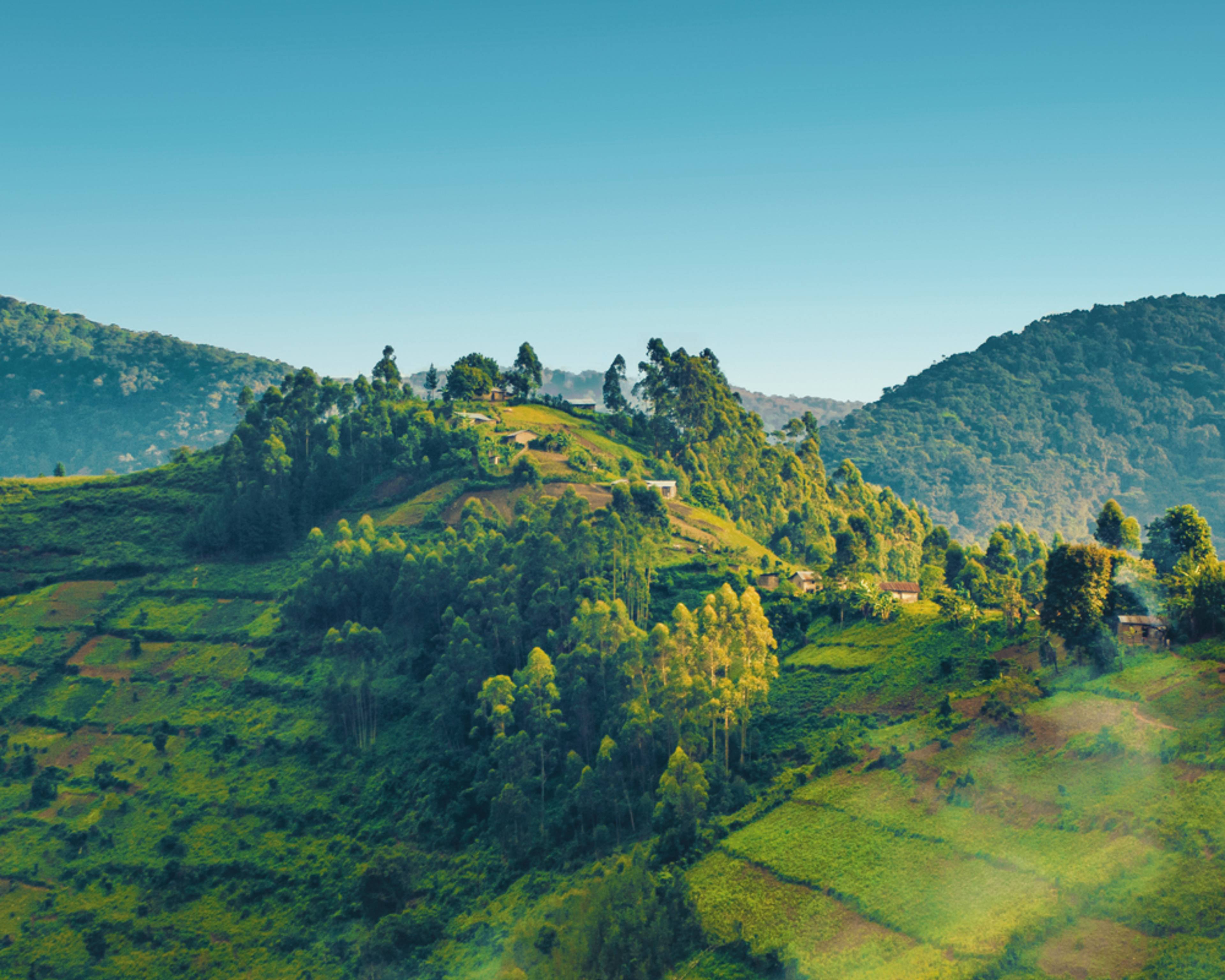 Natururlaub Ruanda - Individualreise buchen