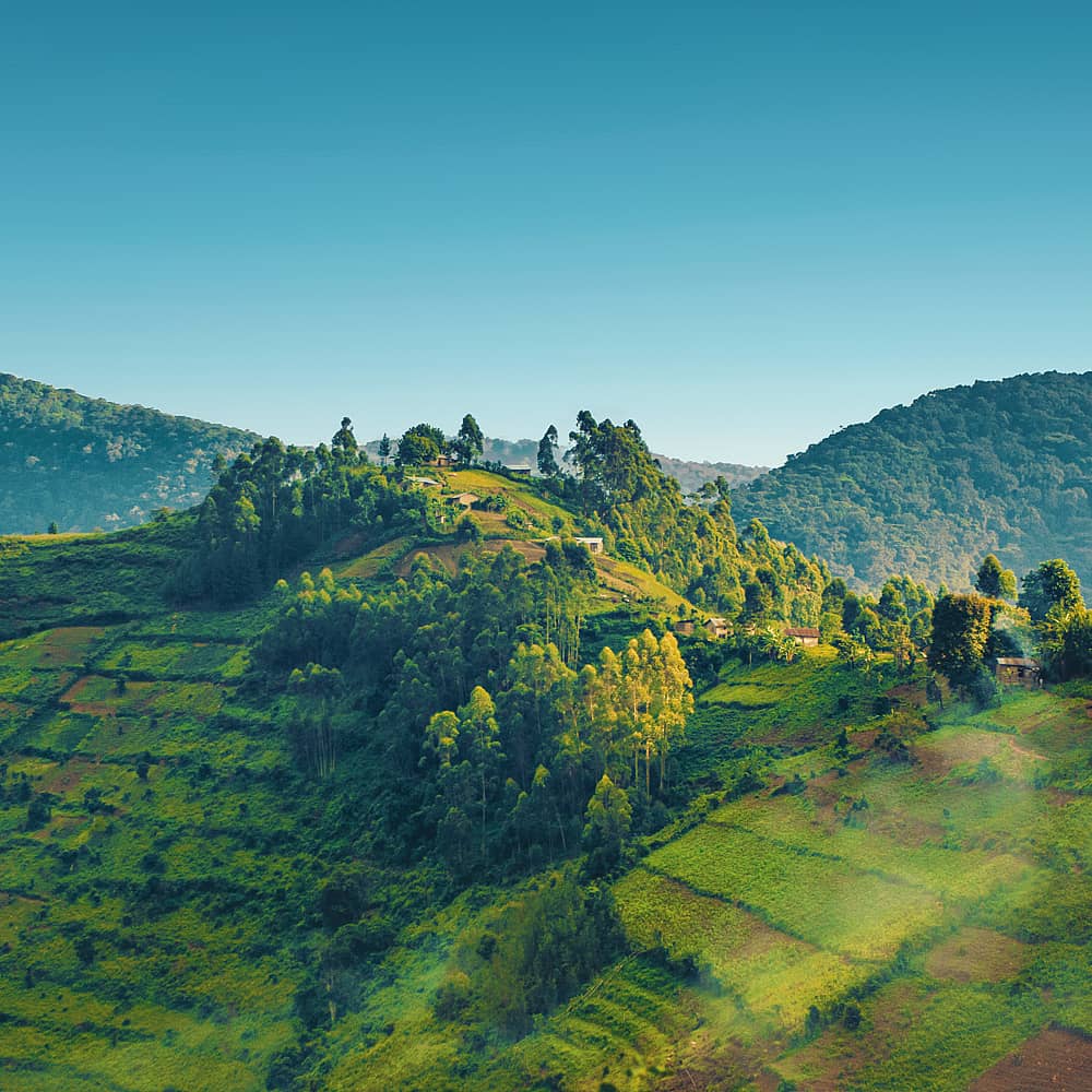 Natururlaub Ruanda - Individualreise buchen