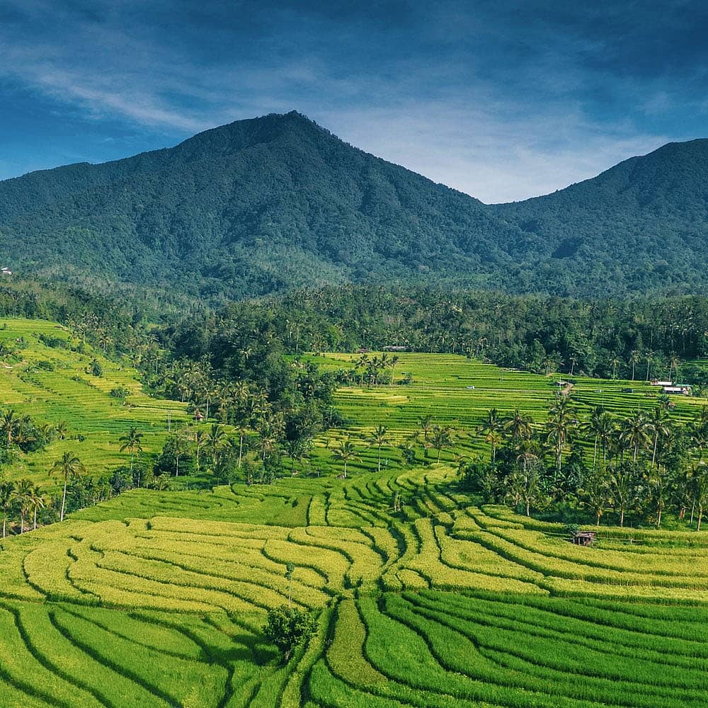 Individueller Bergurlaub Bali - Reise jetzt individuell gestalten