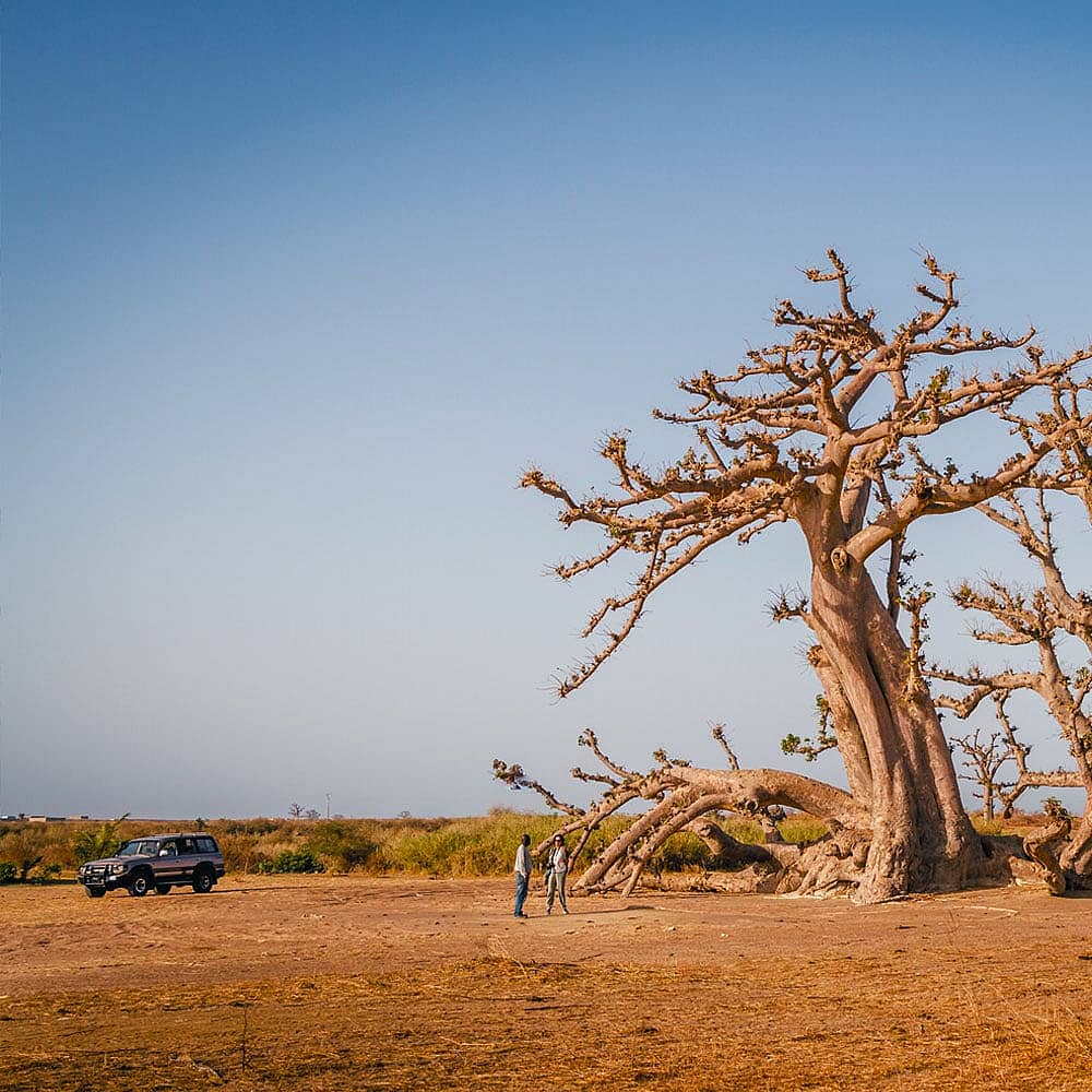 Viajes al desierto de Senegal