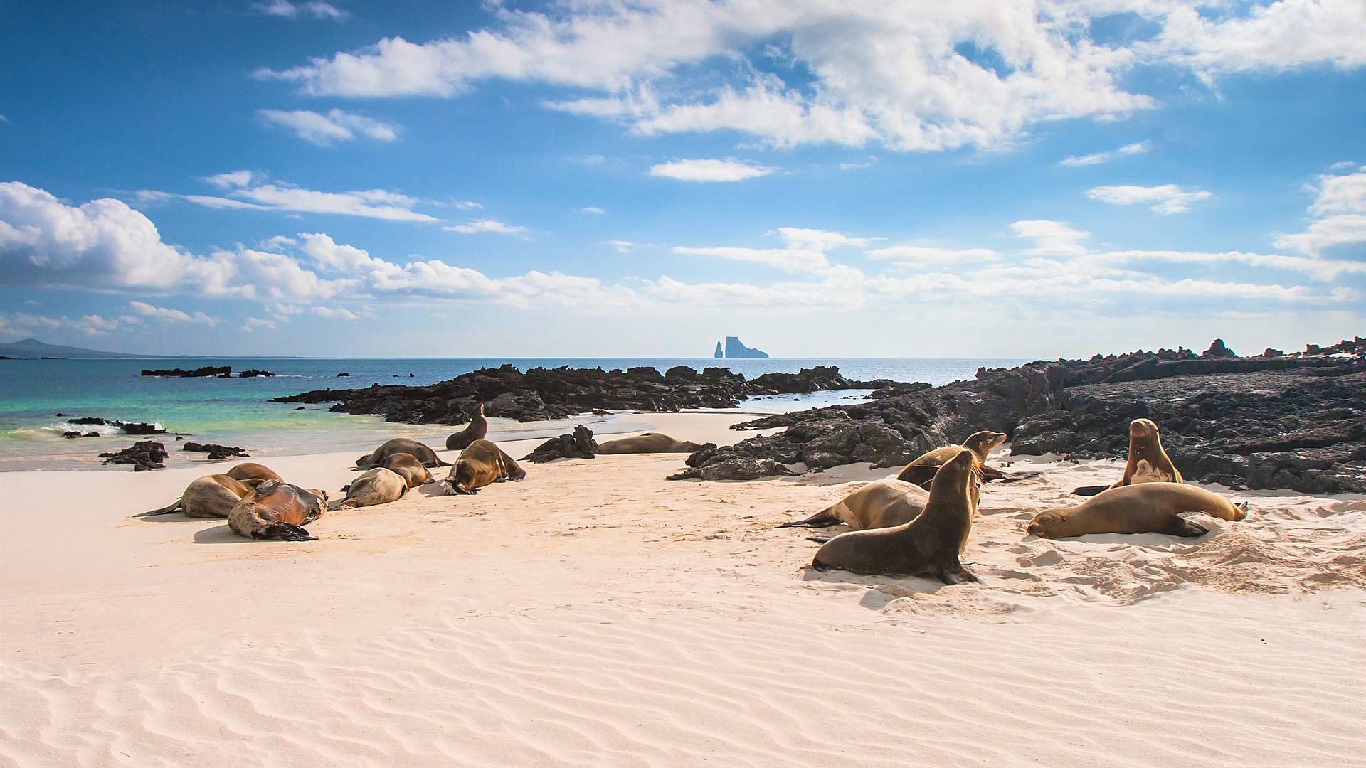 Naturaleza de Galápagos de Isla en Isla